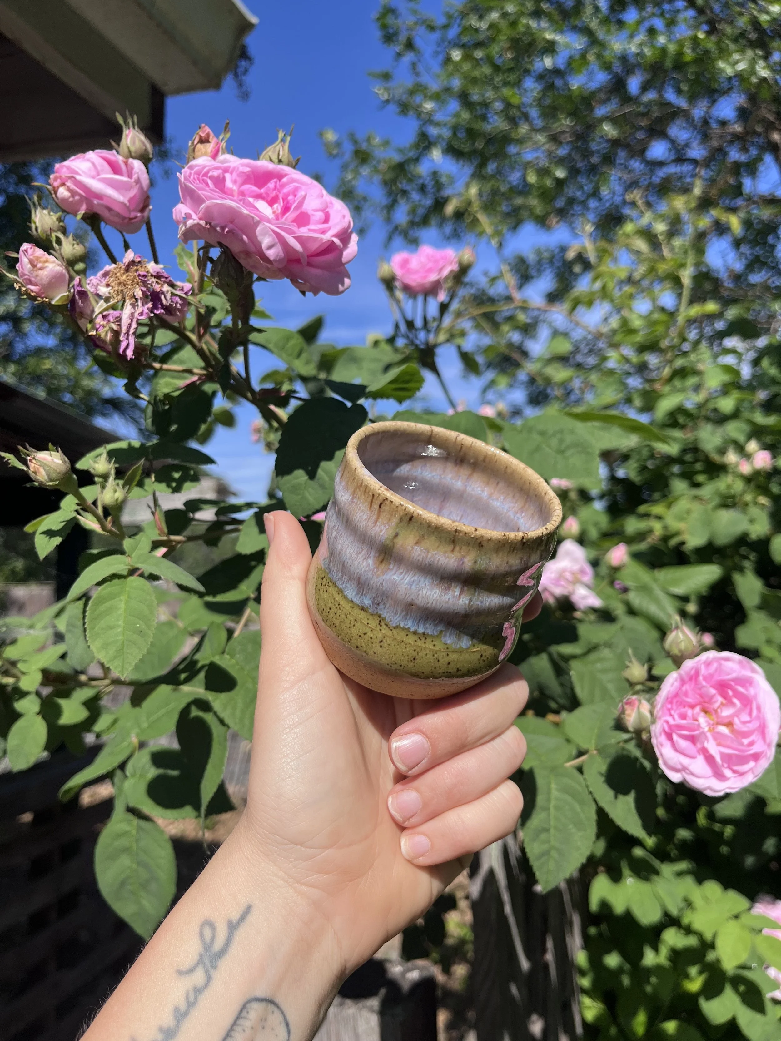 bb cup.jpg