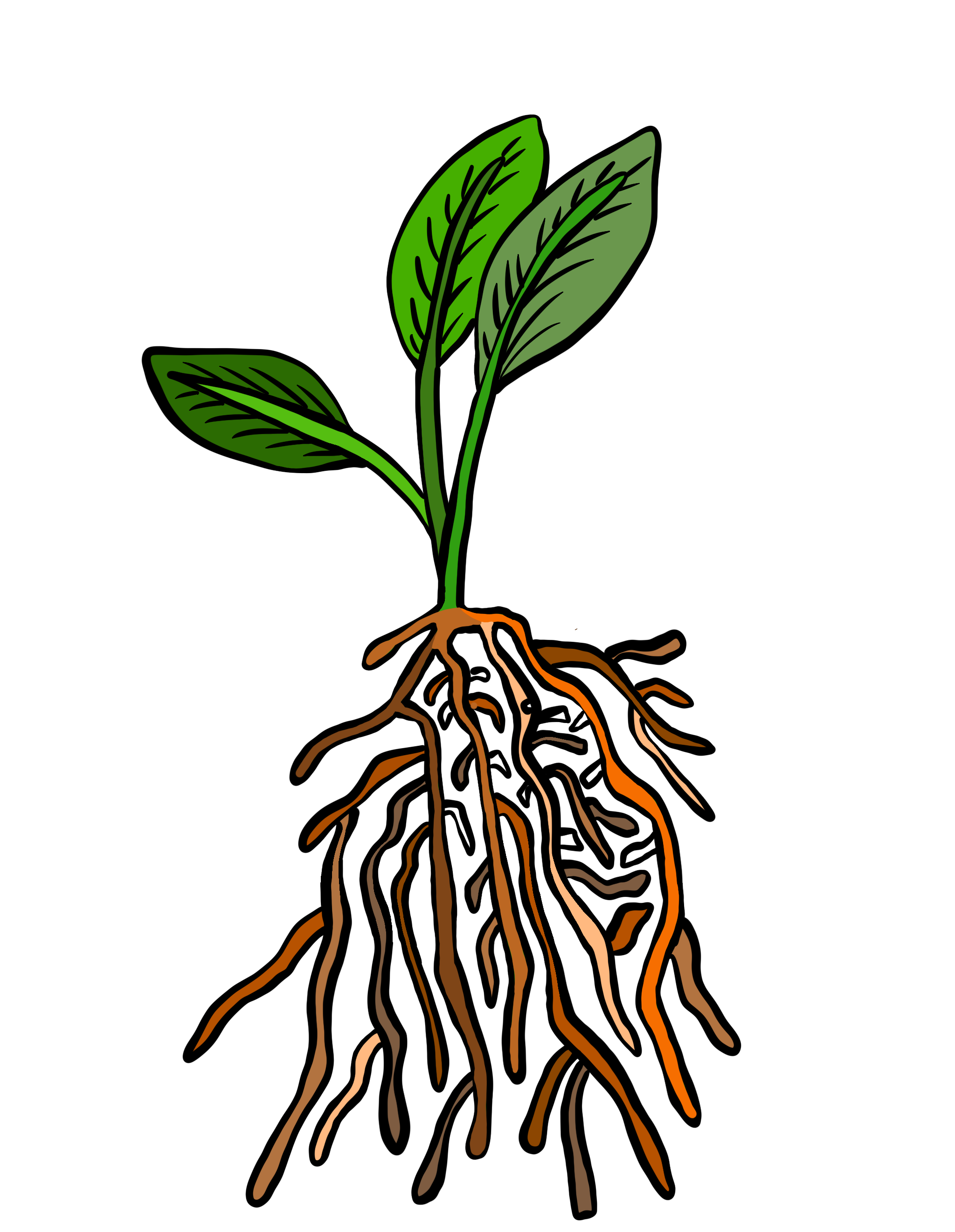 Untitled_Artwork 173.png