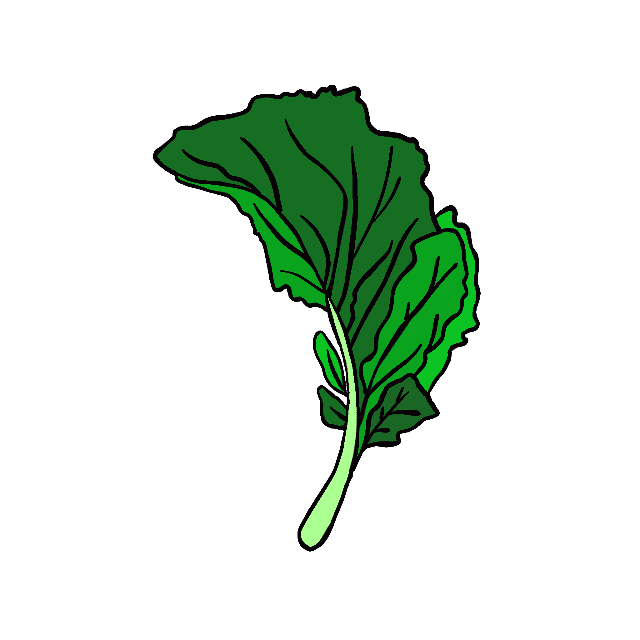 Untitled_Artwork 165.png