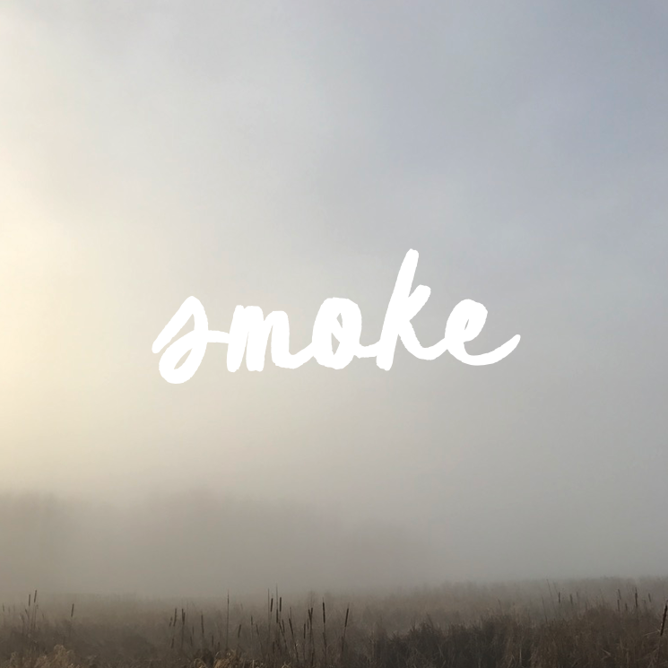 Resilient Plants that Tolerate Smoke Stress