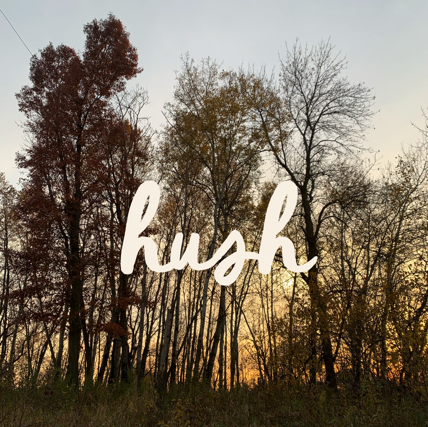 November in the Garden: Seed Saving, Shelter, and Holding Life Through Winter