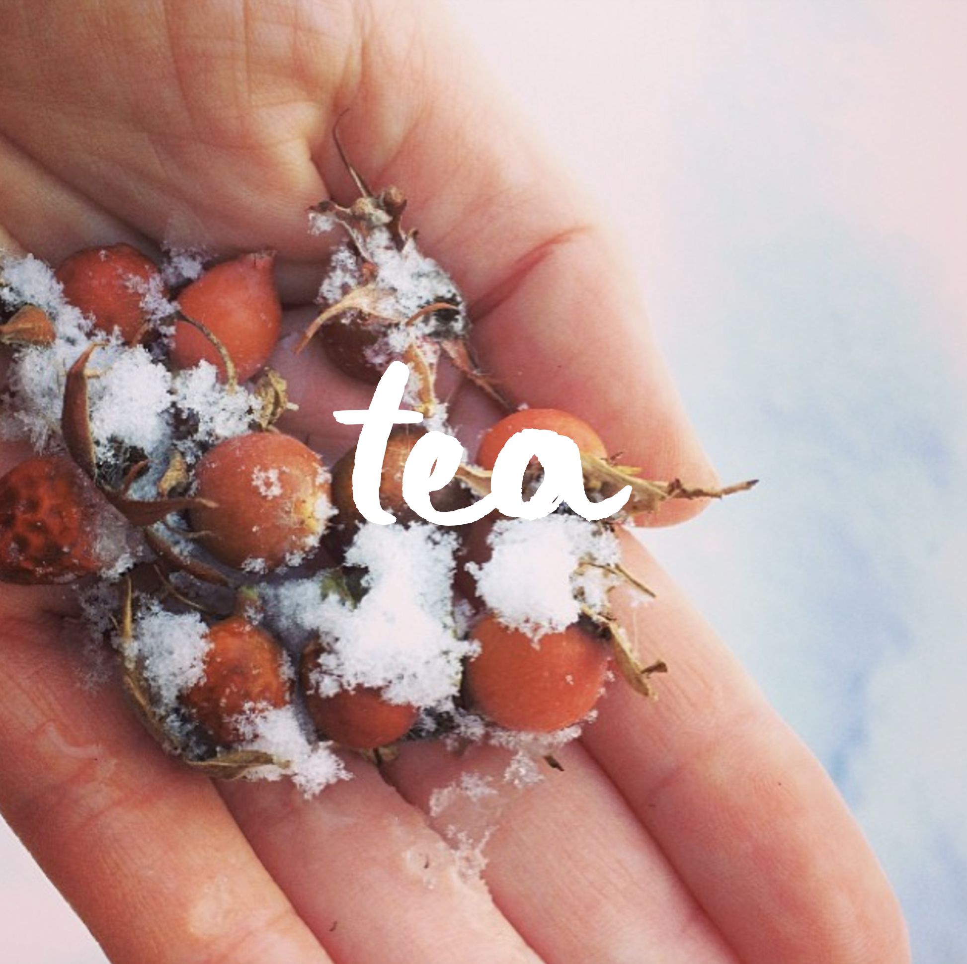 Warming &amp; Restorative Herbal Teas for Late Winter to Early Spring