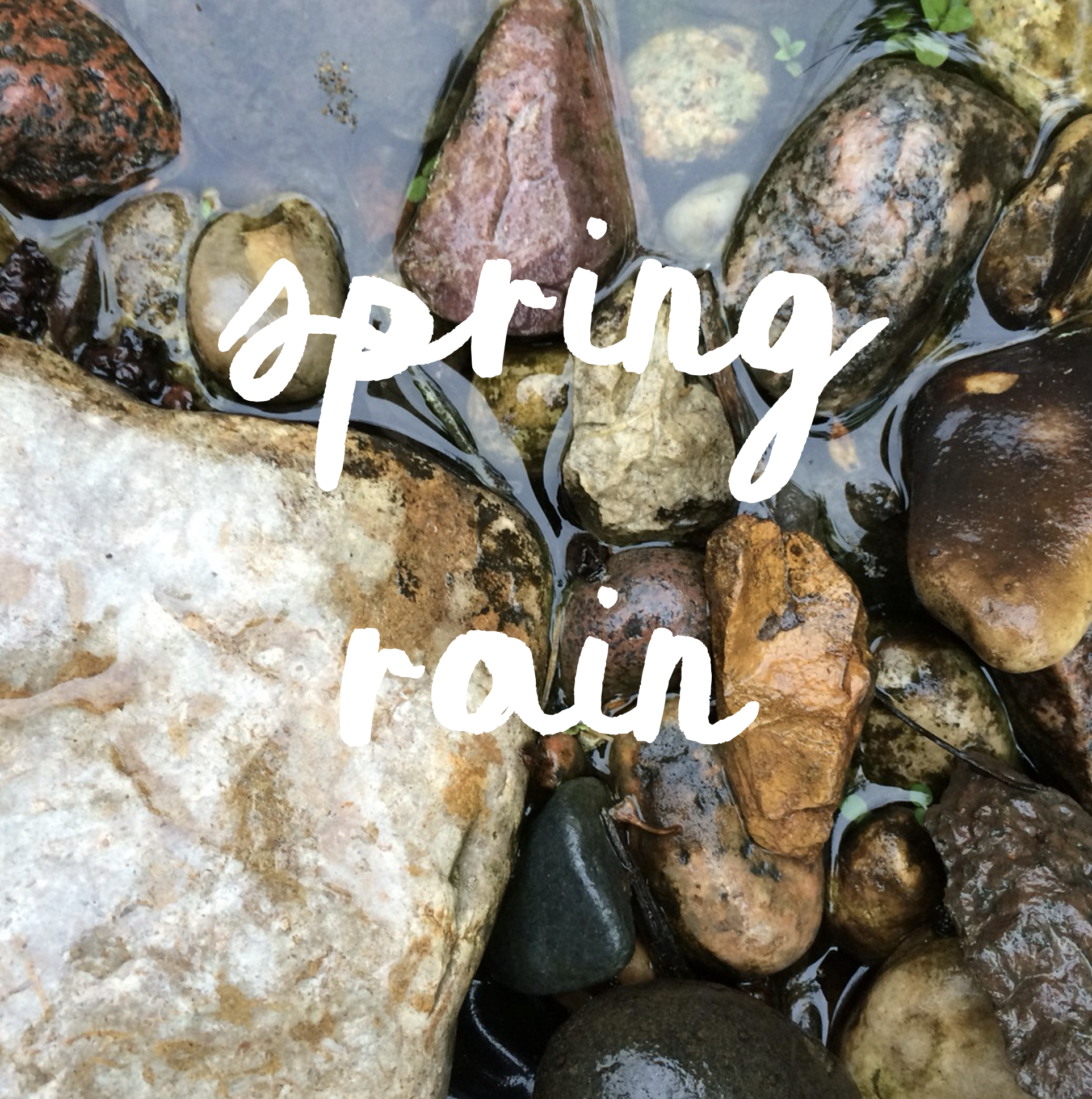 Water Wisdom: Managing Early Spring Showers and Saturation