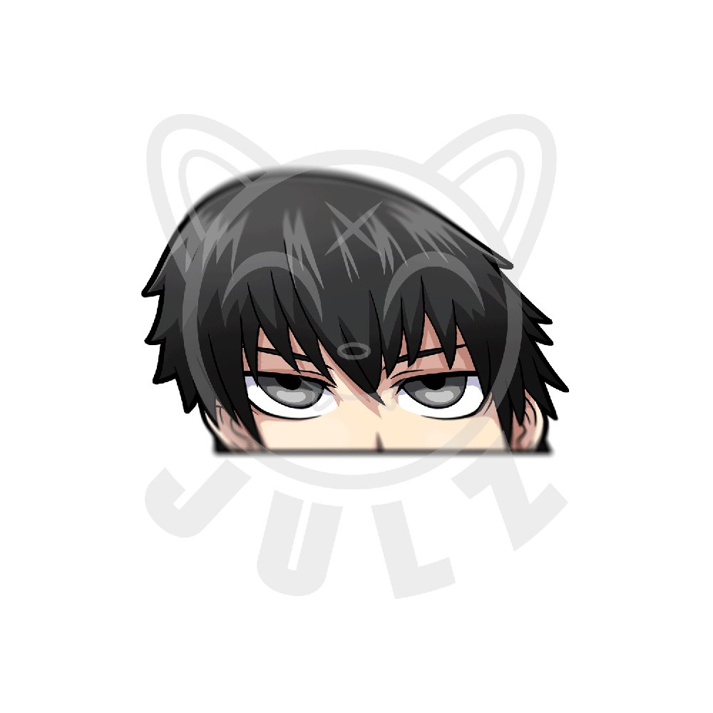 KatonFLIPMU.gif