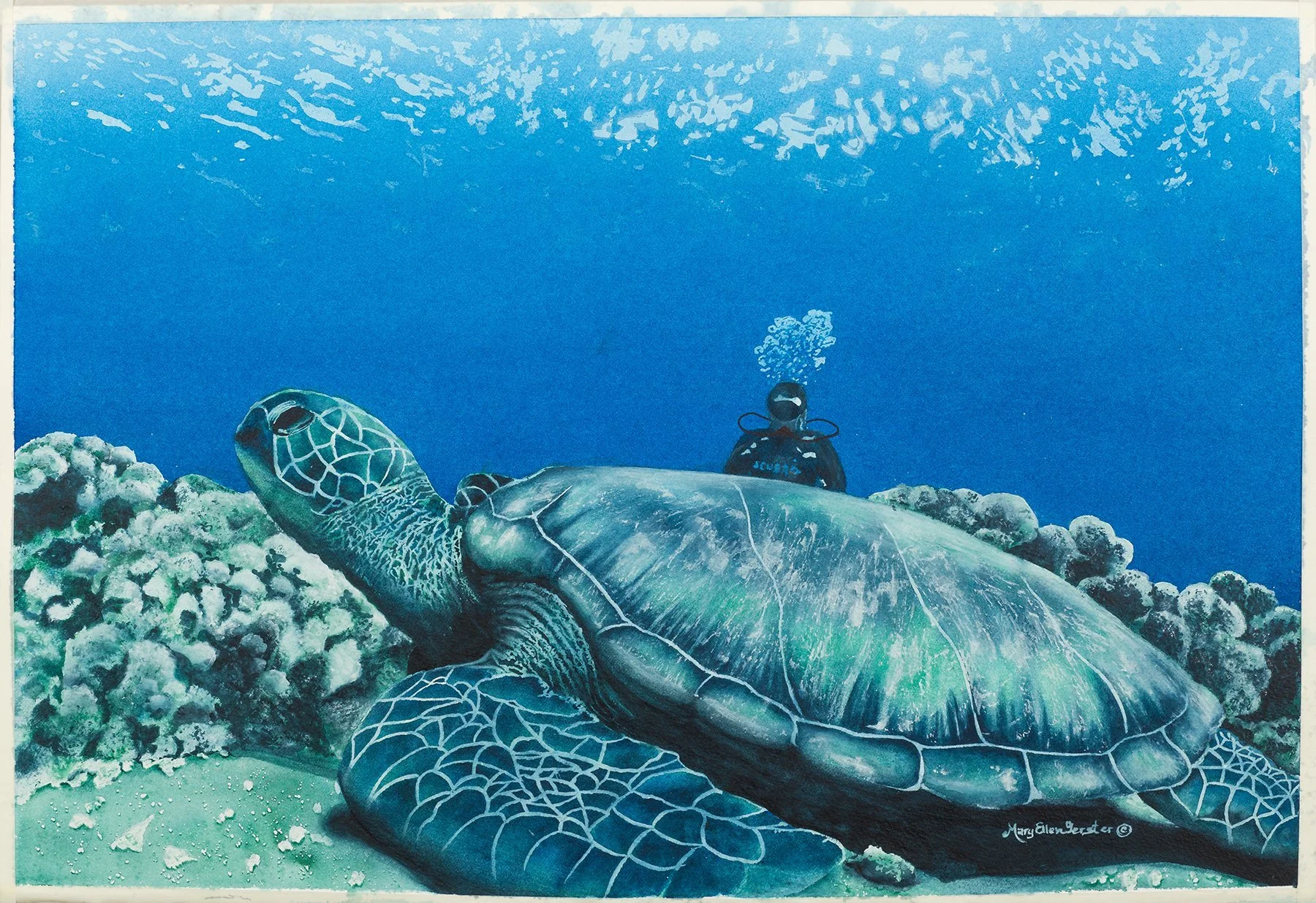 SURPRISE ENCOUNTER by Mary Ellen Gerster