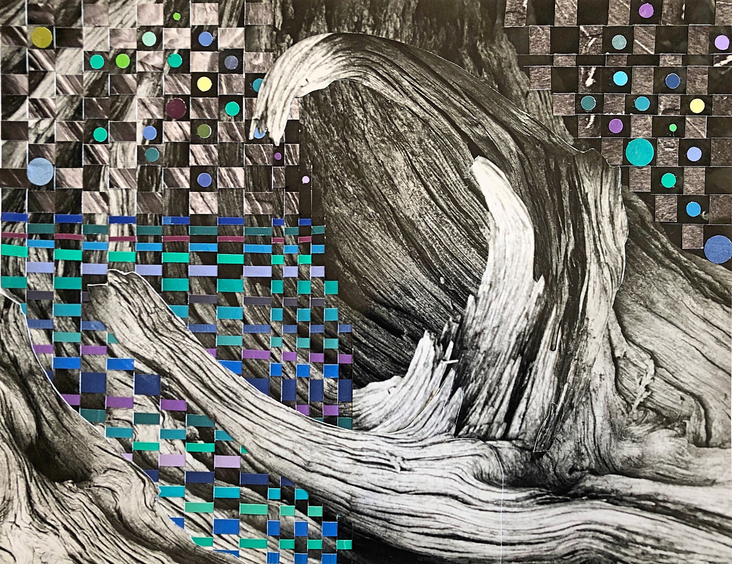 Stump Weave, 2020 (10 x 13 inches) $85 paper, unframed