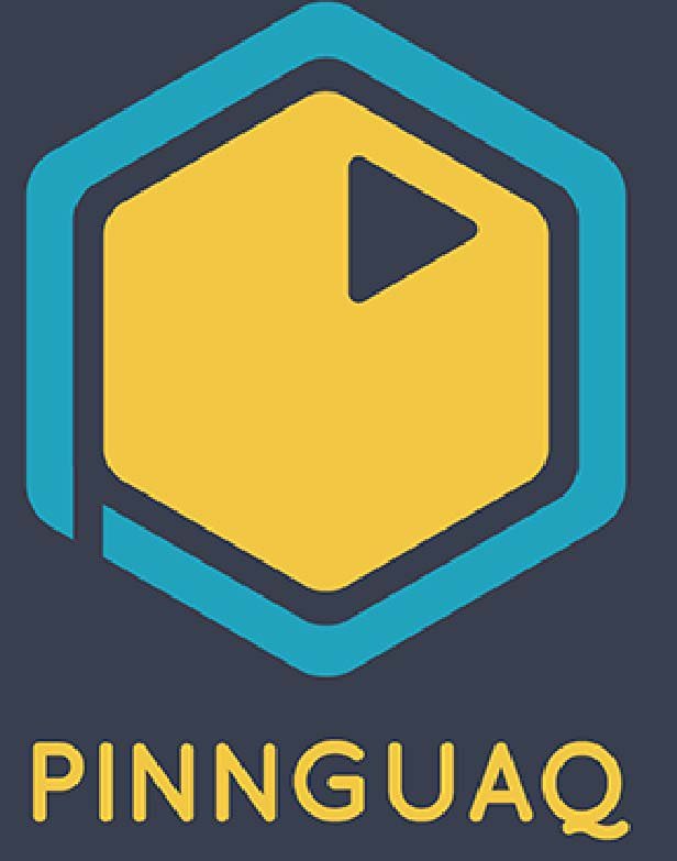 The Pinnguaq Association.jpg