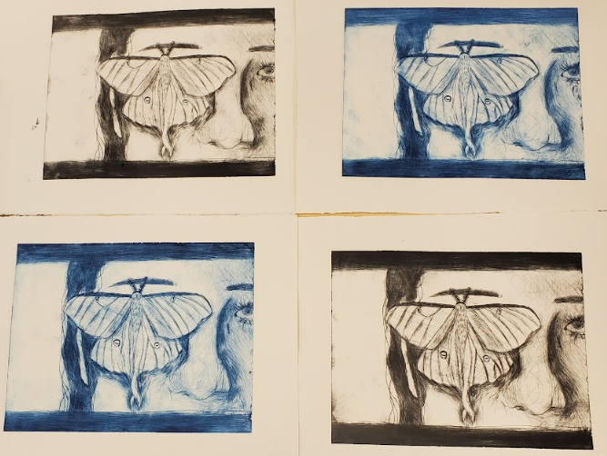 A Look Through Death