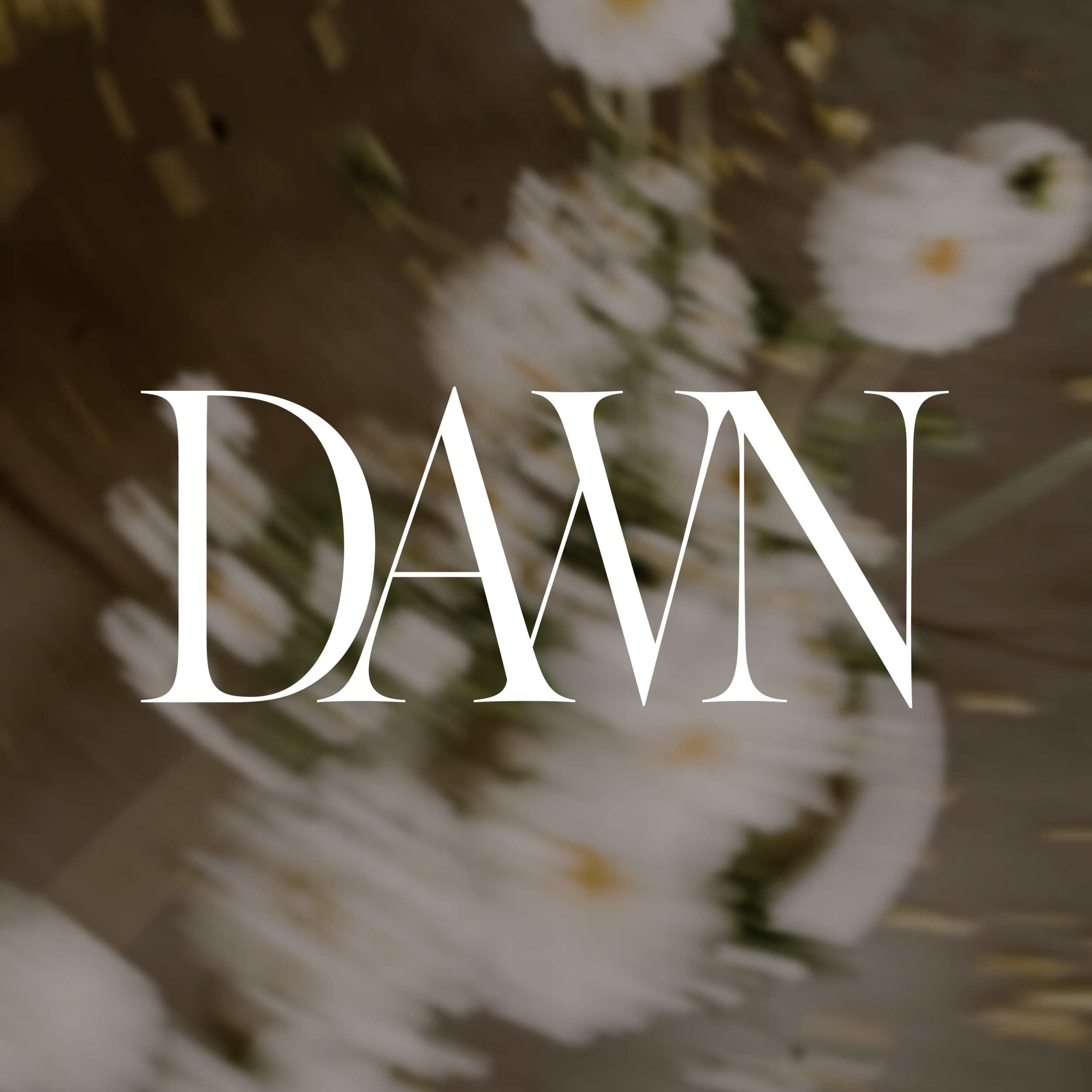 Dawn Thomson Queenstown Wedding Photographer branding and logo design - Half Light Studio