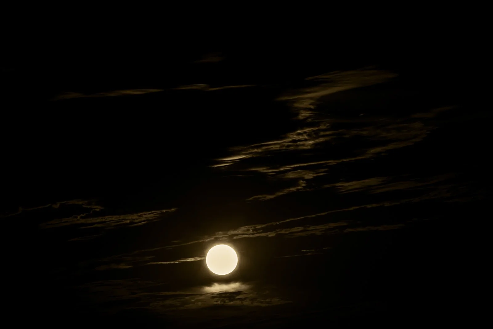 Nite Light
