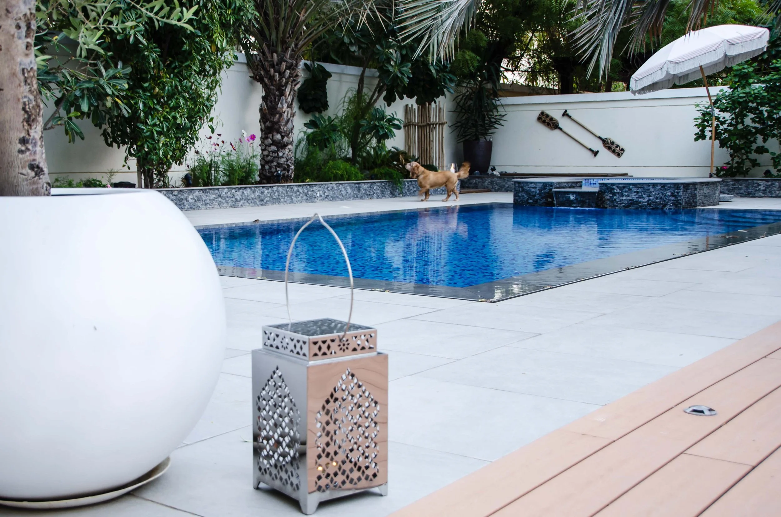 Pool view with dog.jpg