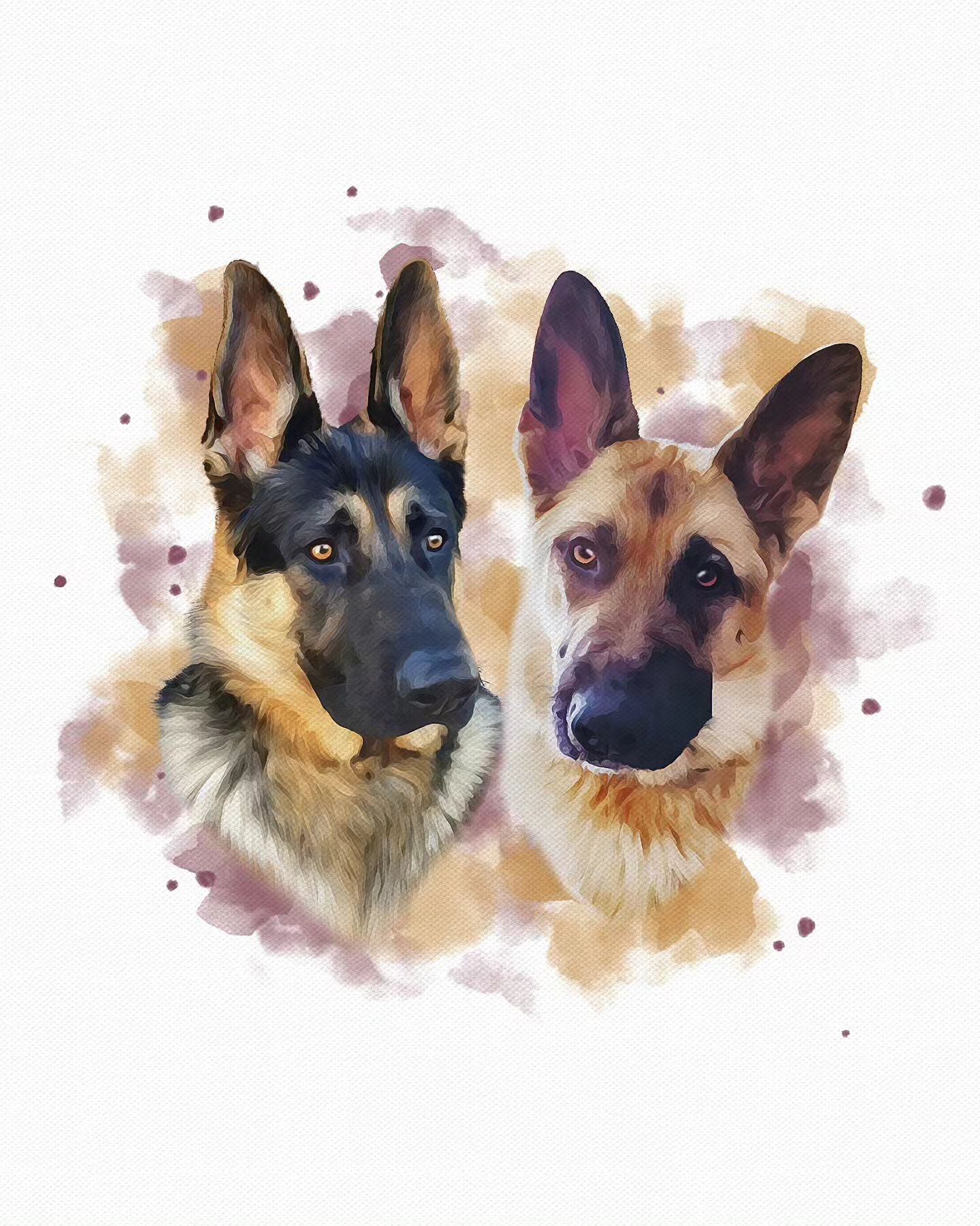 💛 LOKI &amp; KYIA 🩷

Have you ever seen a more perfect, good looking pair!? 😱 Those ears really are something else! 😍

These two are the perfect example of how a portrait can come together from two separate photos. These pups love to make it diff