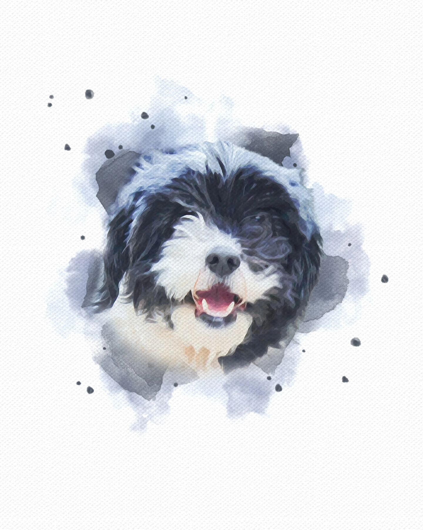 🩶 M A T E R 🖤

RIP handsome lil Mater! We love the quote that went with this memorial portrait as Mater sure looks like a cutie and a fighter until the end 😍

This was another Christmas present and a great example of the photo not needing to be pe