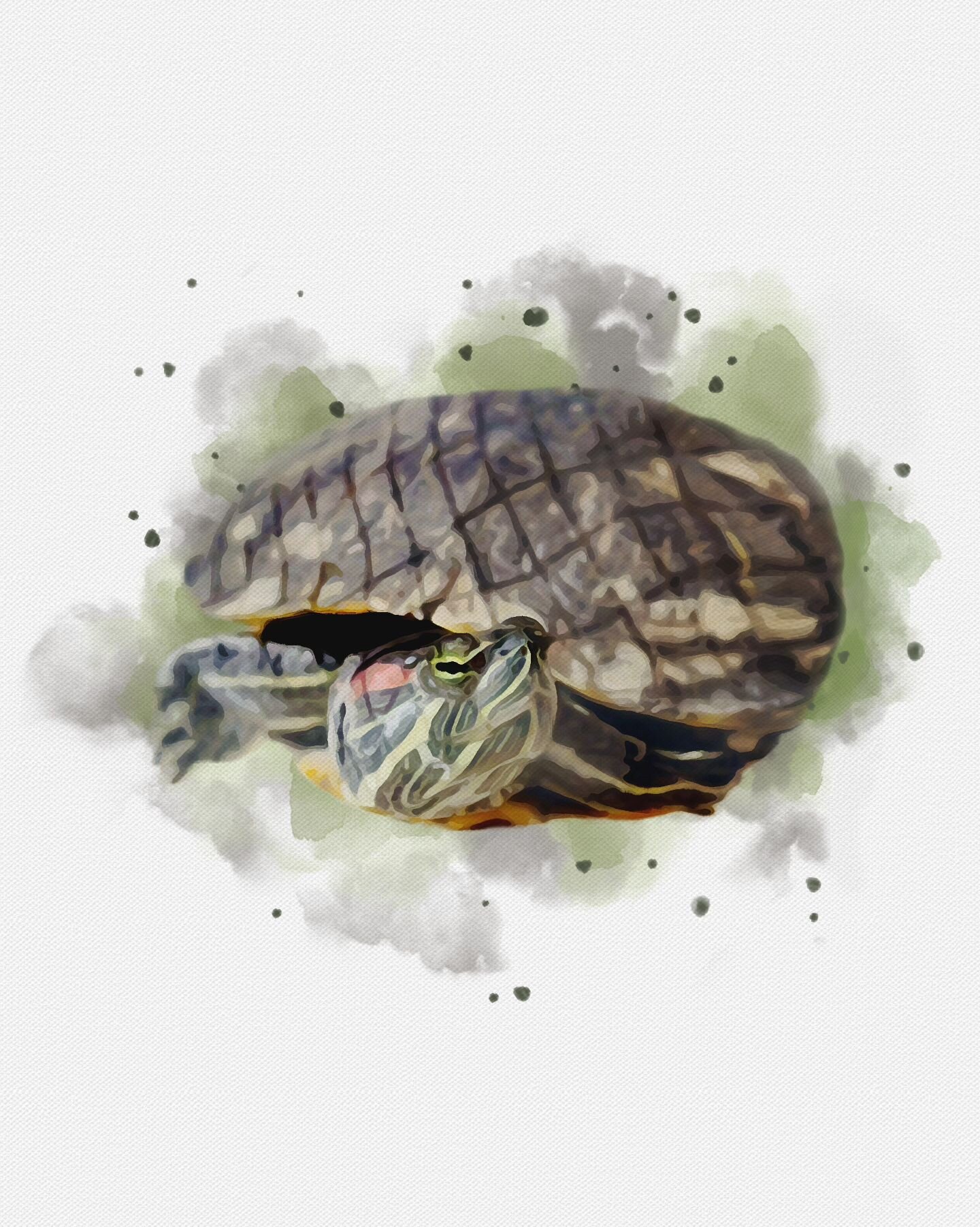 💚 H A V E N 💚

Such a special portrait for such a special turtle! We had so much fun doing this memorial portrait and just love when an unusual (less common that is) pet comes our way! 🥰

RIP sweet Haven. Thanks so much for your trust again Madiso