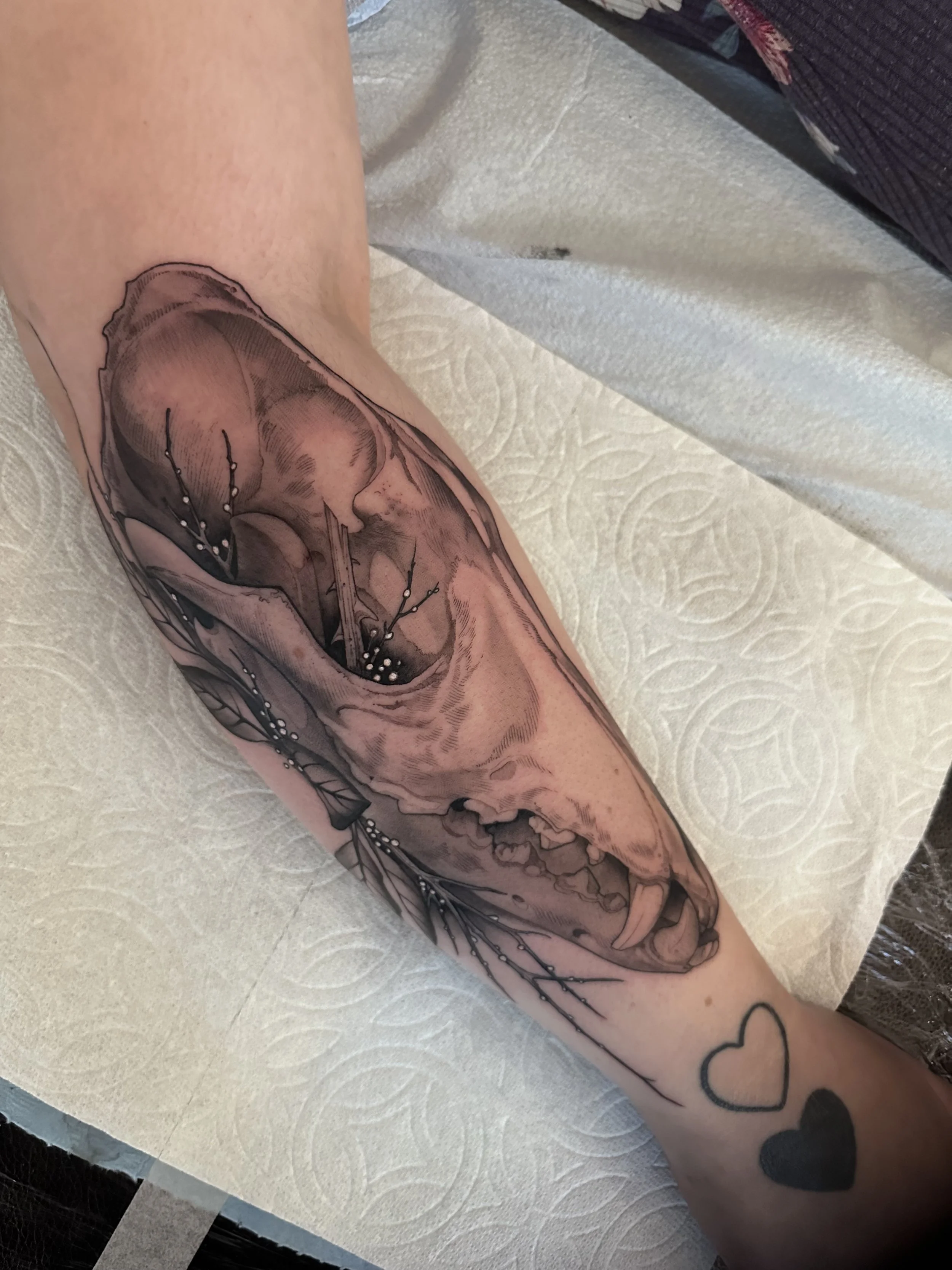 Tattoo of an animal skull, possibly a wolf or dog, with detailed shading and linework, on a person's forearm.