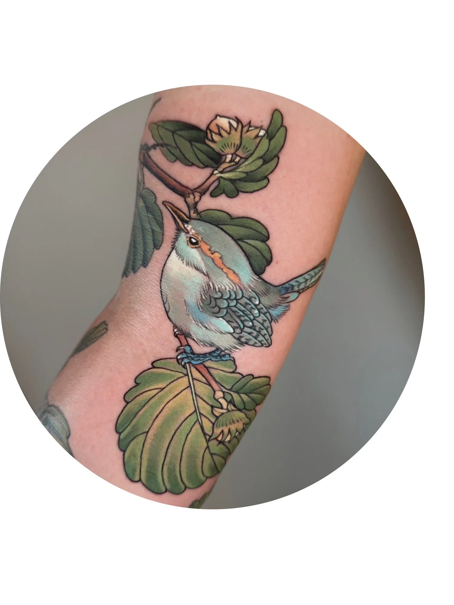 Colorful tattoo of a bird perched on a branch with green leaves and a flower.