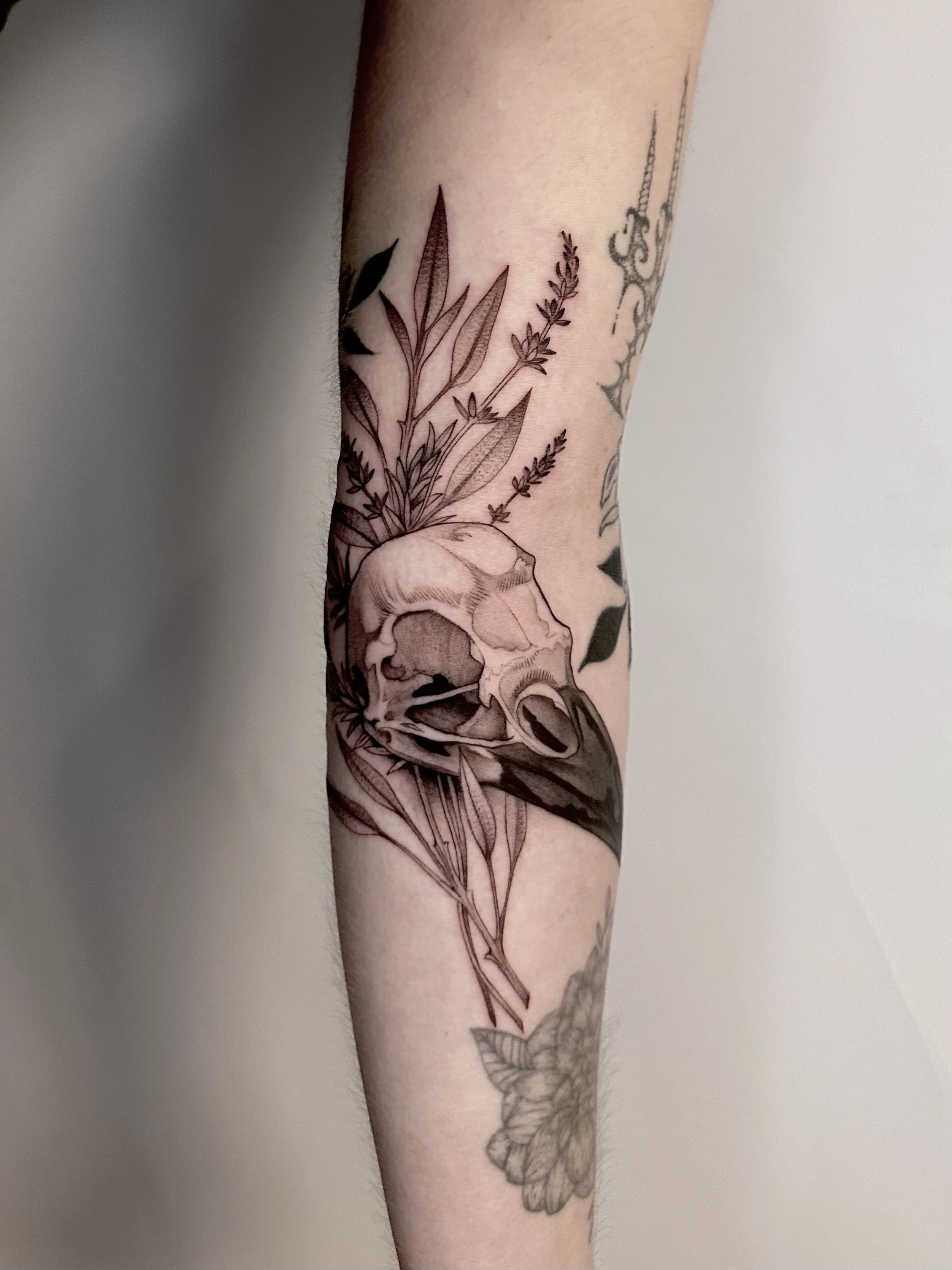 Tattoo of a bird skull with foliage and flowers on a person's arm.