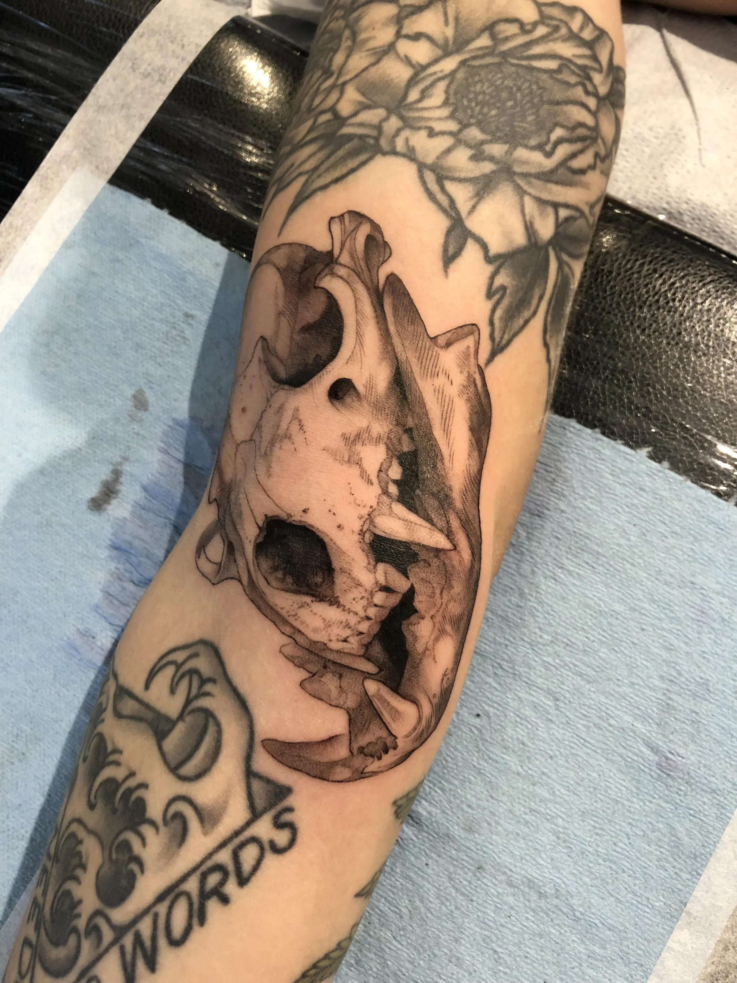 A tattoo of a cat skull on a person's arm, surrounded by other floral and decorative tattoos.