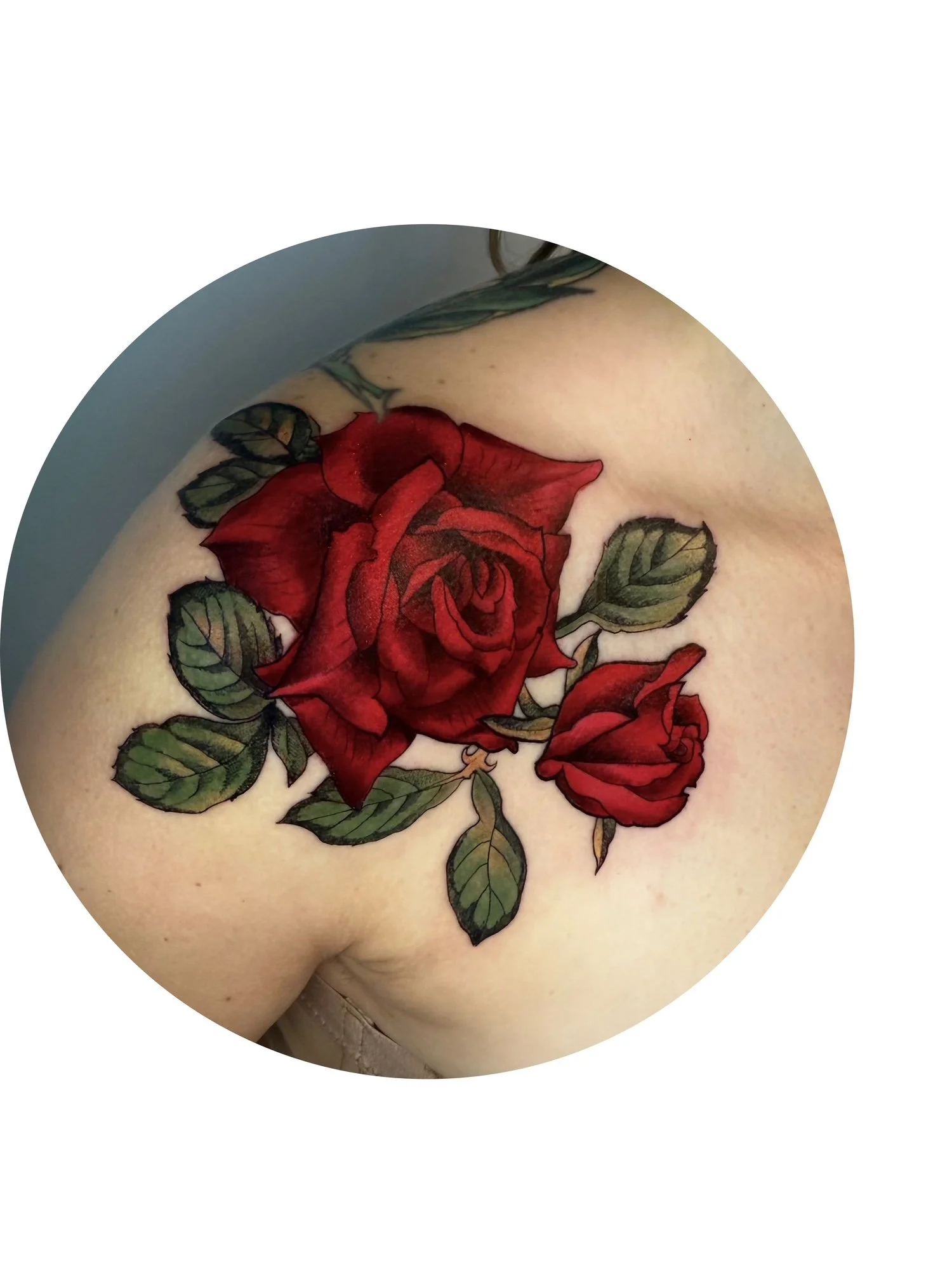 Tattoo of two red roses with green leaves on a person's shoulder.