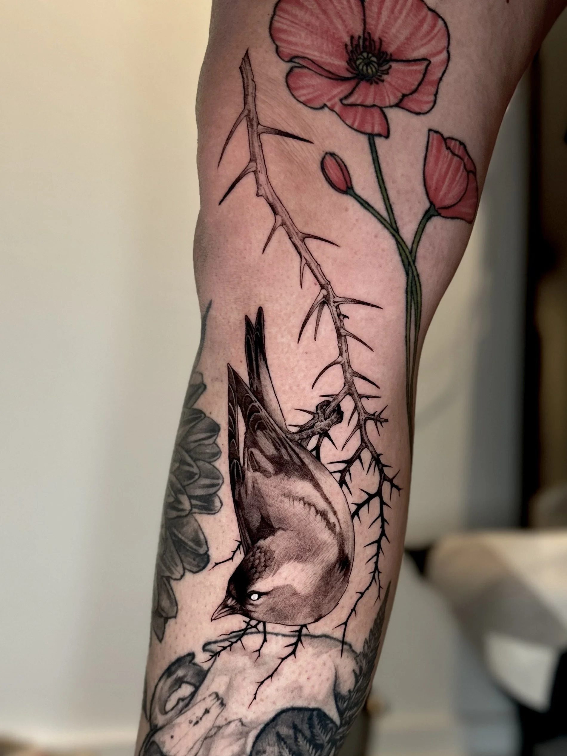 Tattoo of a bird hanging upside down on a branch with pink flowers.