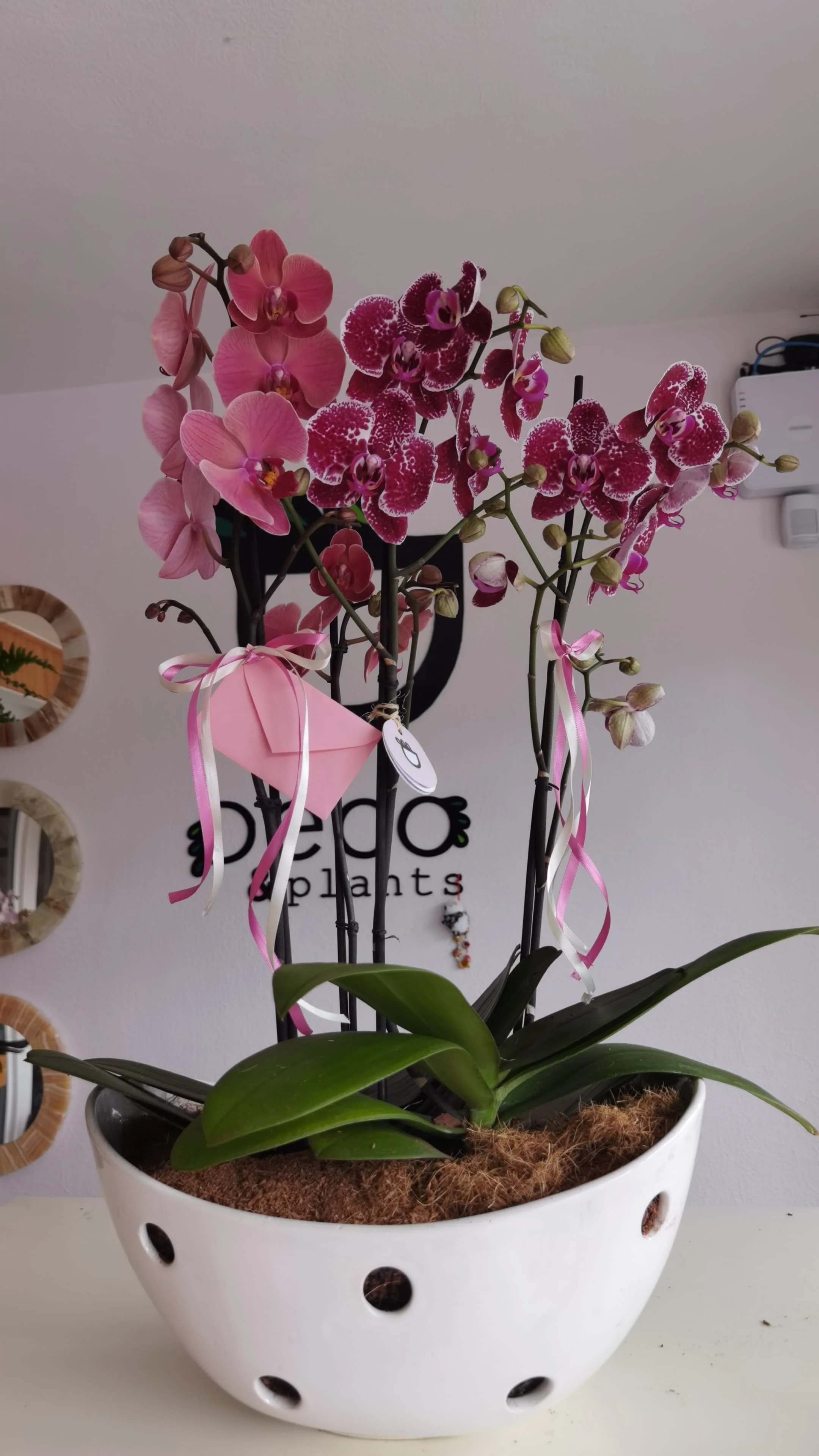 5d3d4589-05bd-4f3c-911e-d61c7510ff98.JPG