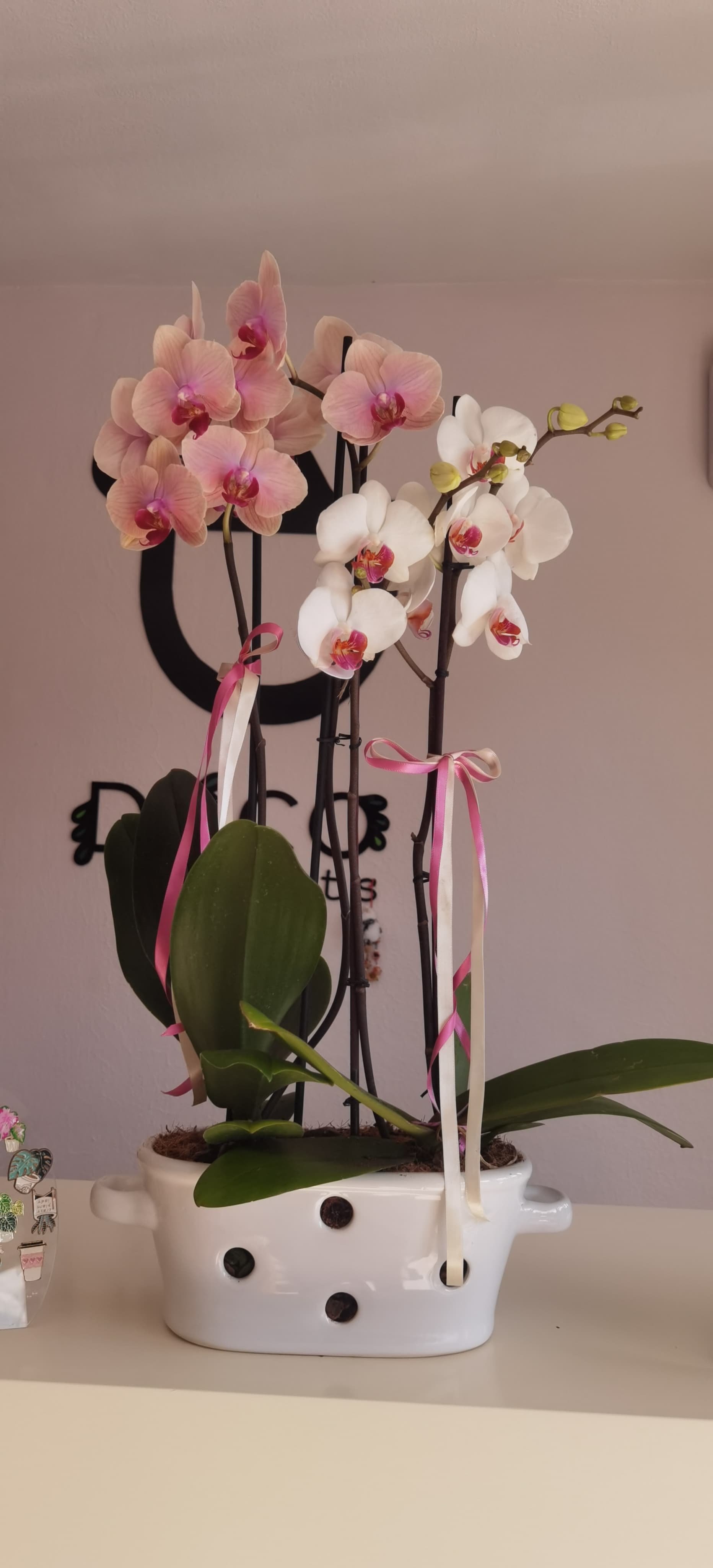 2f8a9990-25c6-4743-a57b-3d6ce7cbc3ce.JPG