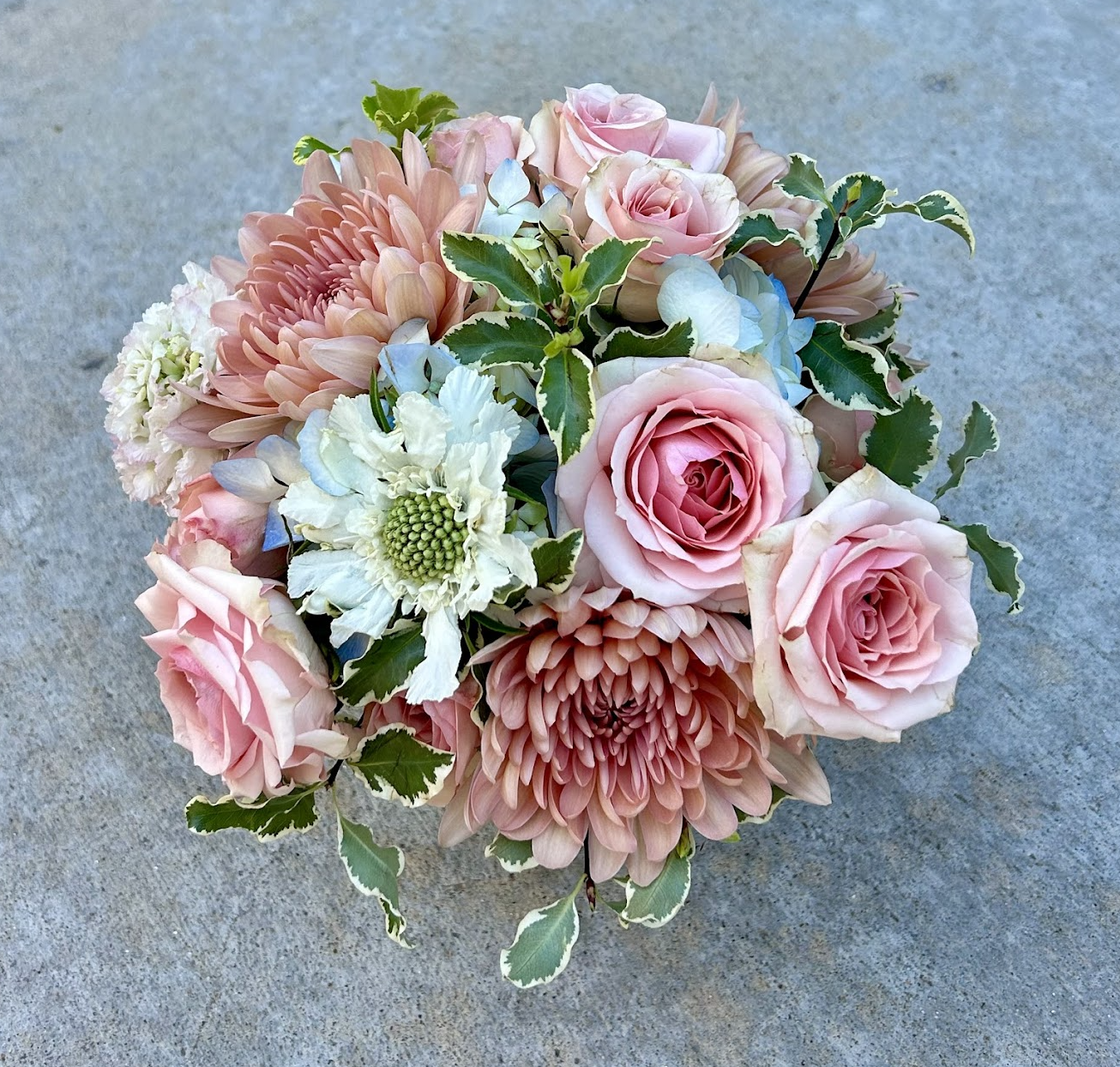 Screen Shot 2024-06-10 at 3.08.41 PM.png