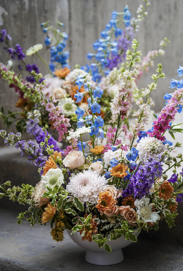 Screen Shot 2024-07-09 at 7.30.28 PM.png