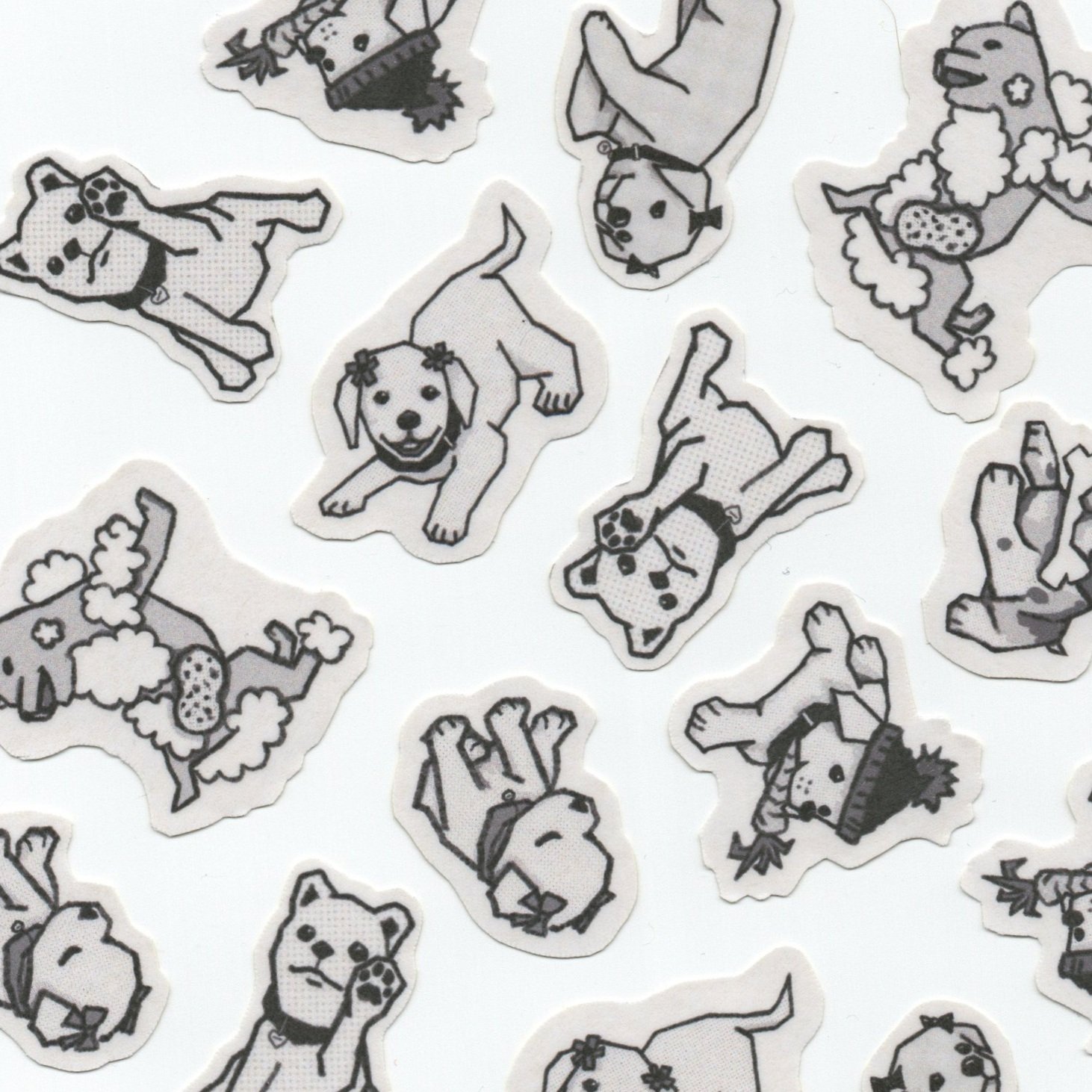 Lab+and+friends_001.jpg