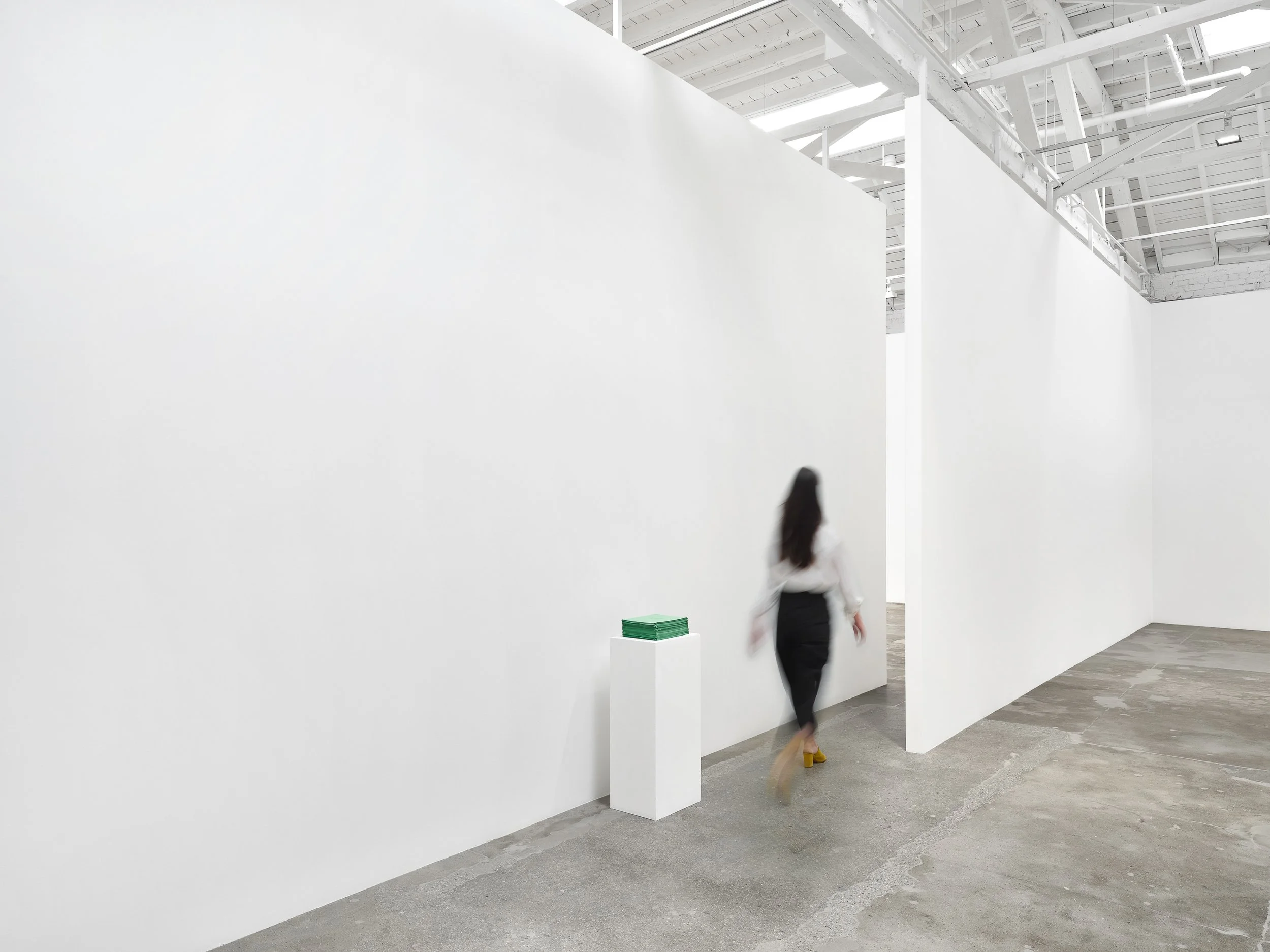 Bruce Nauman: Marian Goodman LA
