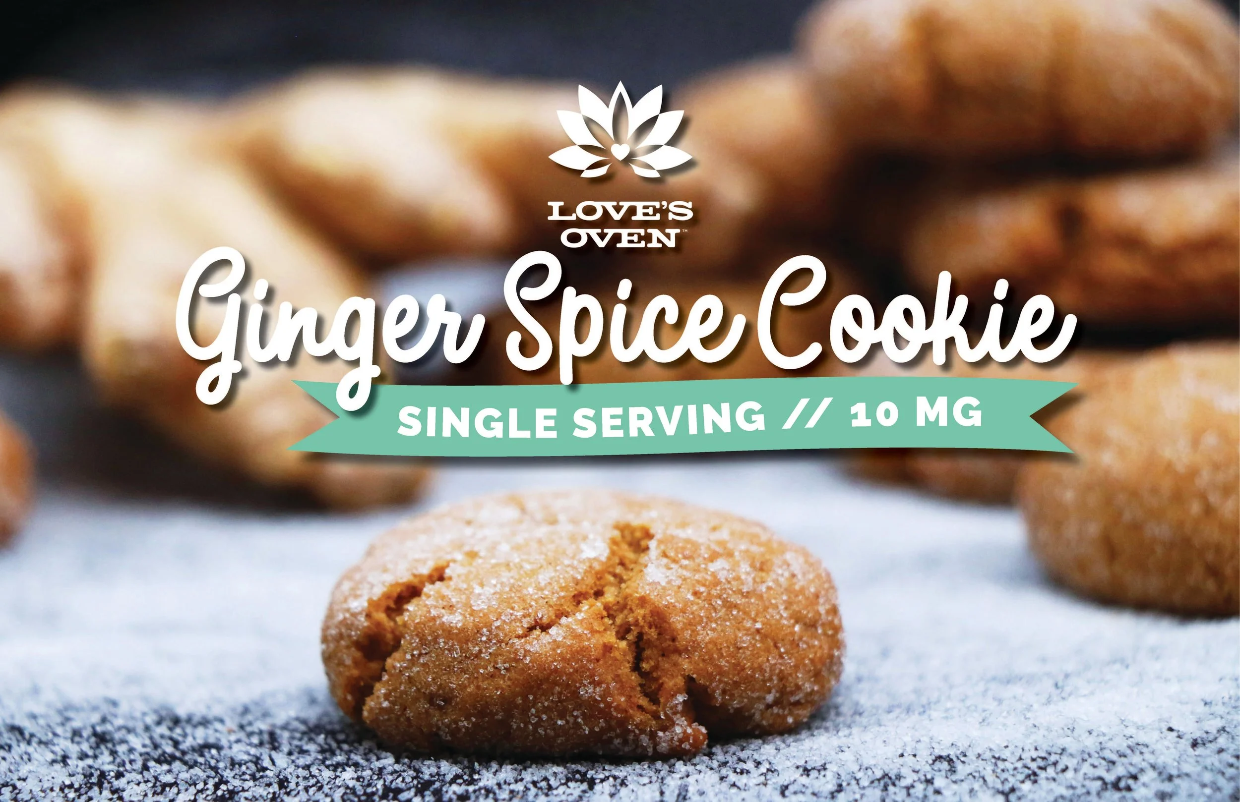 Ginger Spice Graphic with Copy 4.jpg