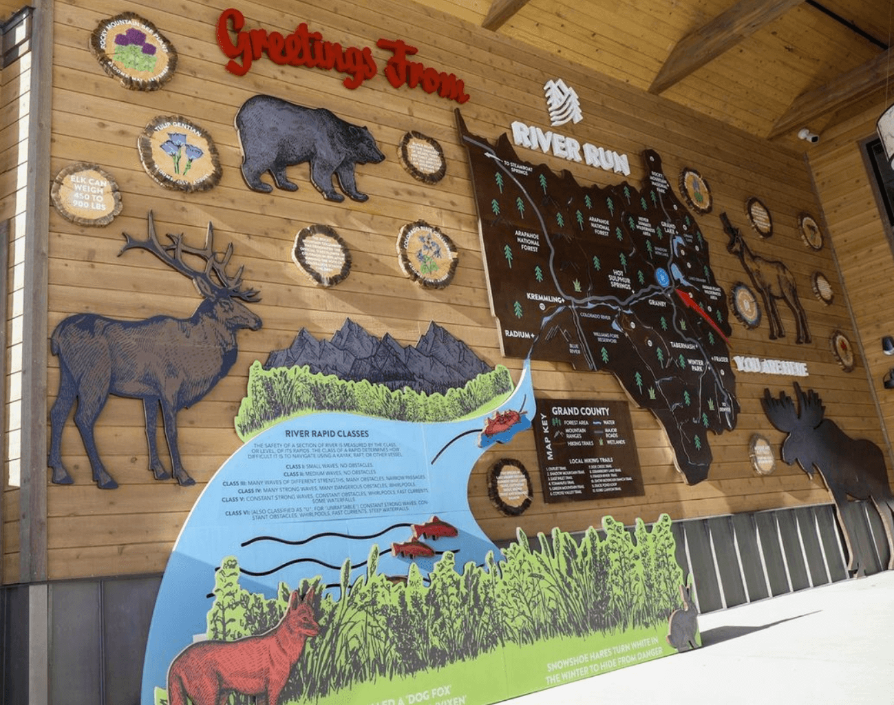 Wooden wall display with maps, animal cutouts including a bear, elk, moose, and a fox, and informational signs about river run and local wildlife.