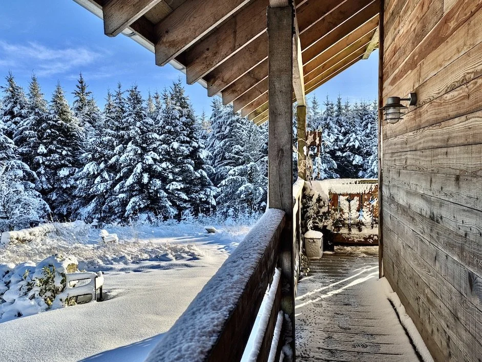 Snow-covered balcony with a view of a forest of snow-laden evergreen trees under a blue sky.