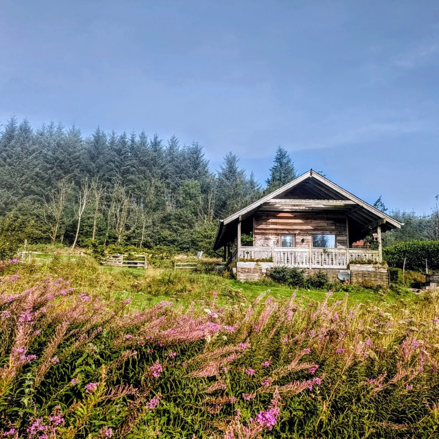 We've just had a cancellation for this Wednesday if you feel like a couple of nights away......Bis sp&auml;ter x