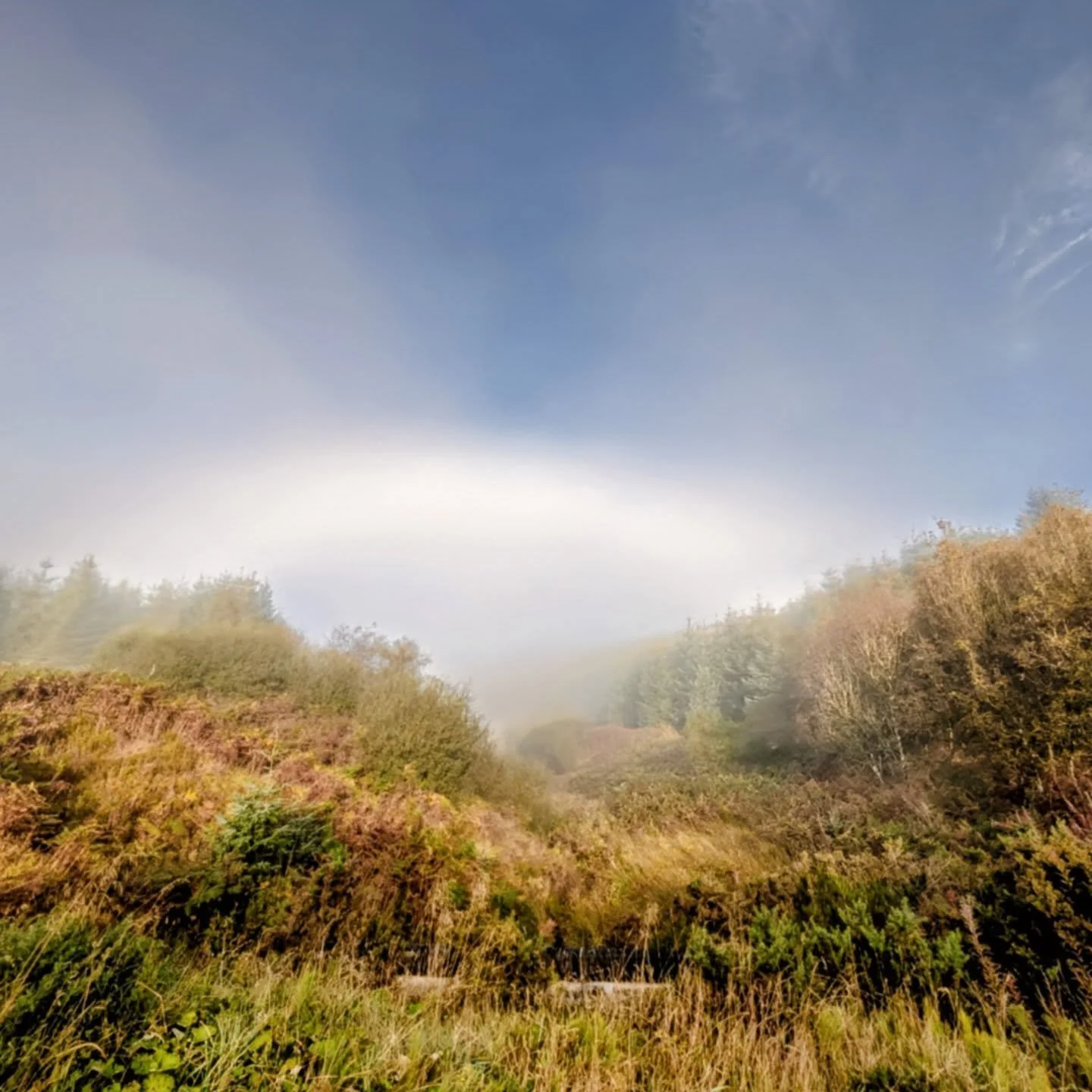 Ps, a cancellation has come up for October x 
A cloud bow, a happy dog, an Alpine Chalet and our walk behind Alpnhaus above the clouds this morning. 
Have a lovely day, what ever you're doing 🥰 x
.
.
.
#naturlove #travelinspo #stayinscotland #southe
