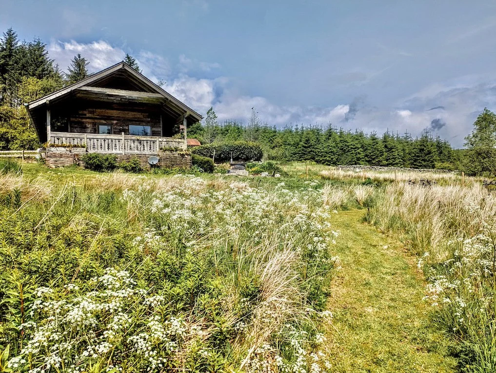 A wooden house on a hill surrounded by greenery, with a grassy path leading up to it, and a field of wildflowers in the foreground under a partly cloudy sky.