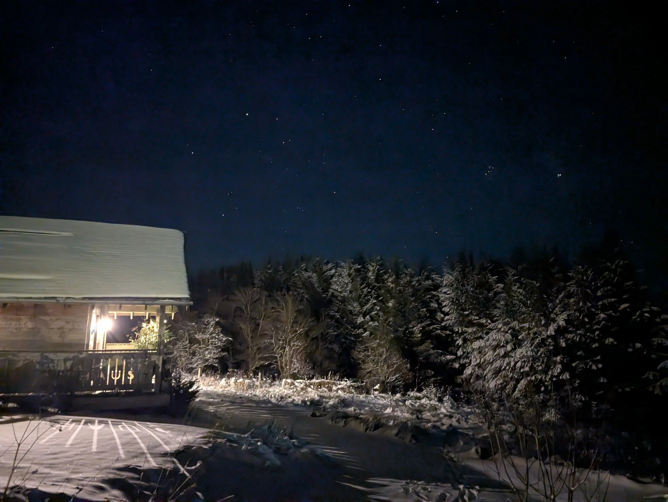 snownighthor copy.jpeg