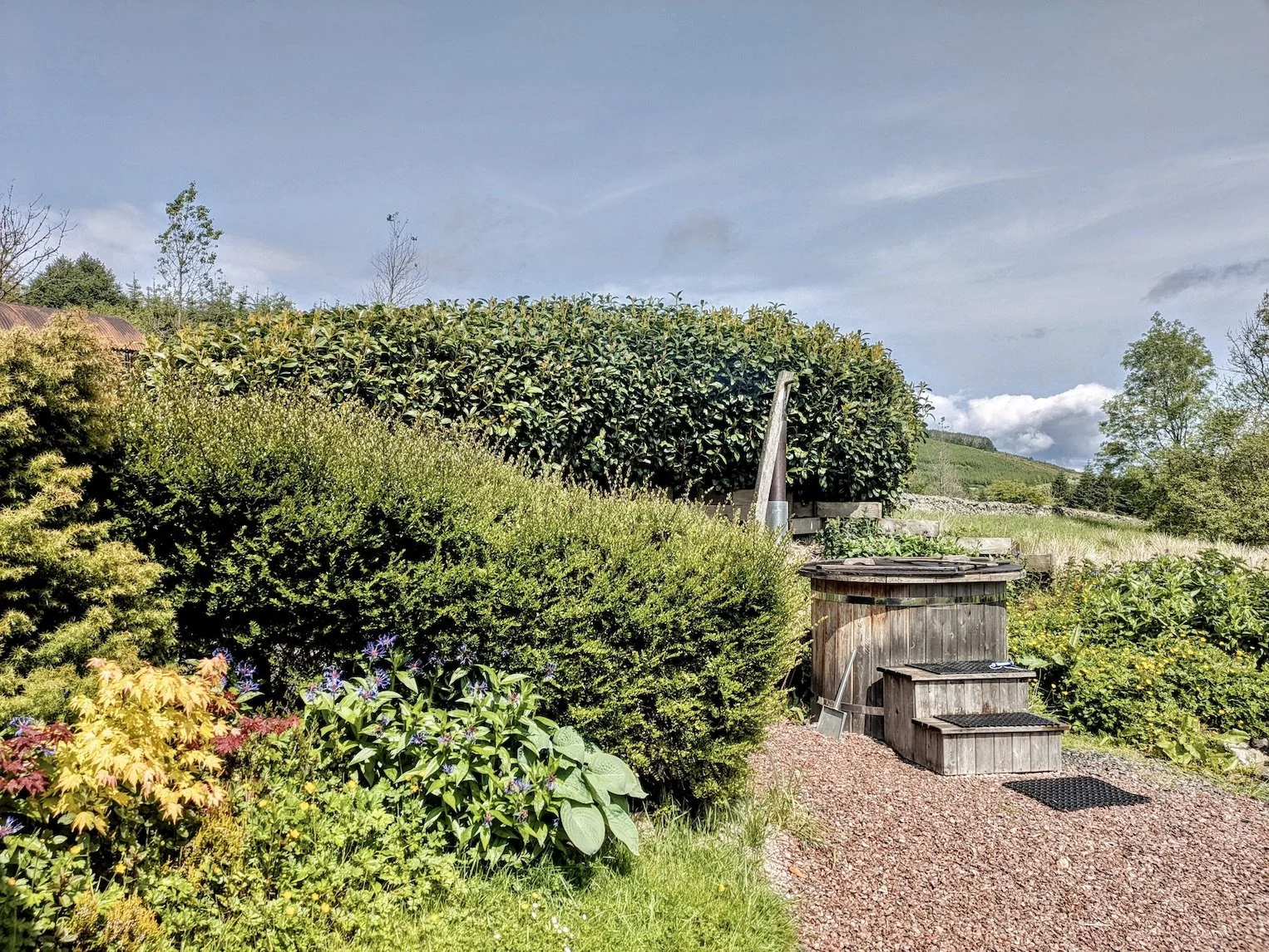 A lush garden with a variety of green bushes and plants, a wooden compost bin, and steps with a textured surface, set against a backdrop of trees and hilly landscape under a partly cloudy sky.