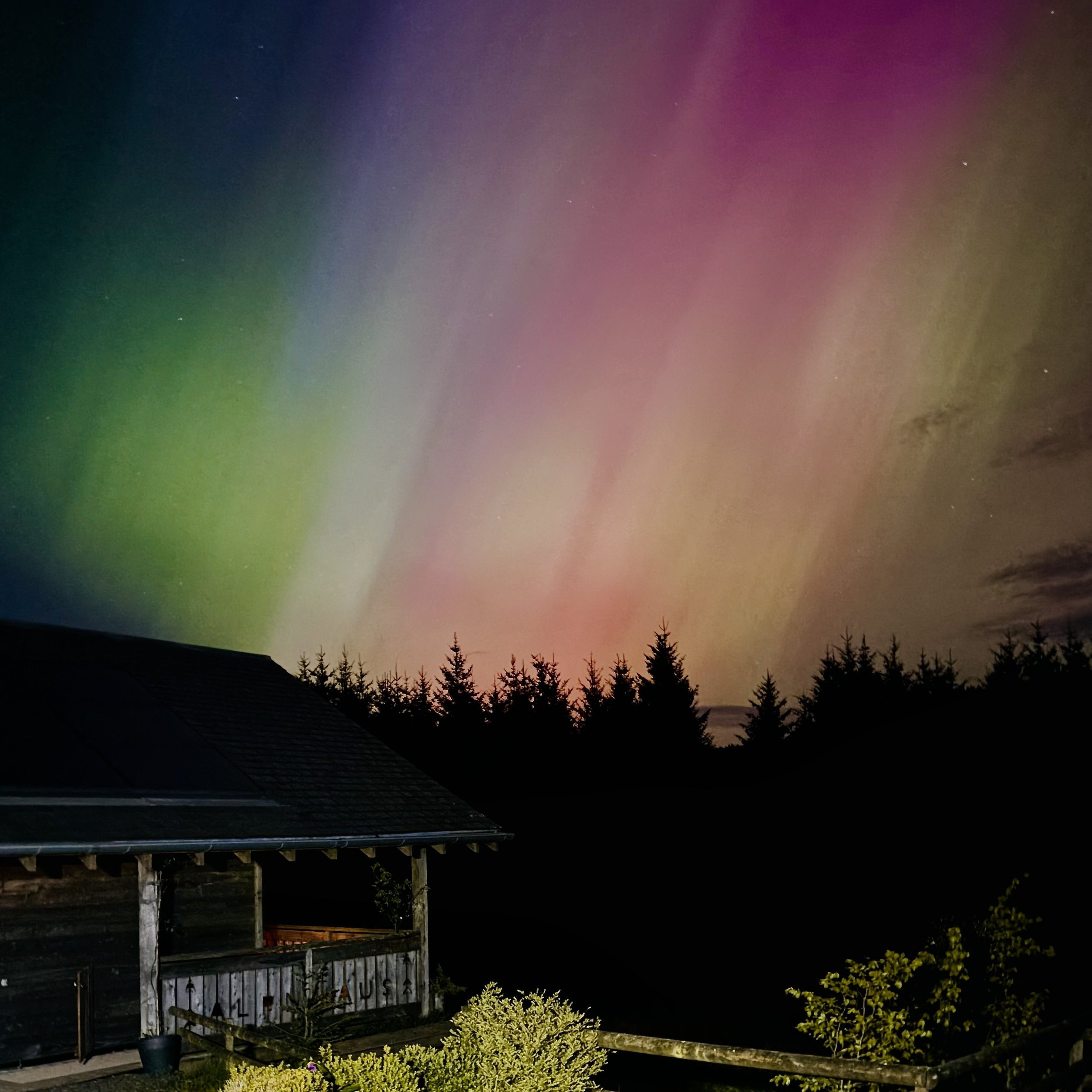 aurora.jpeg