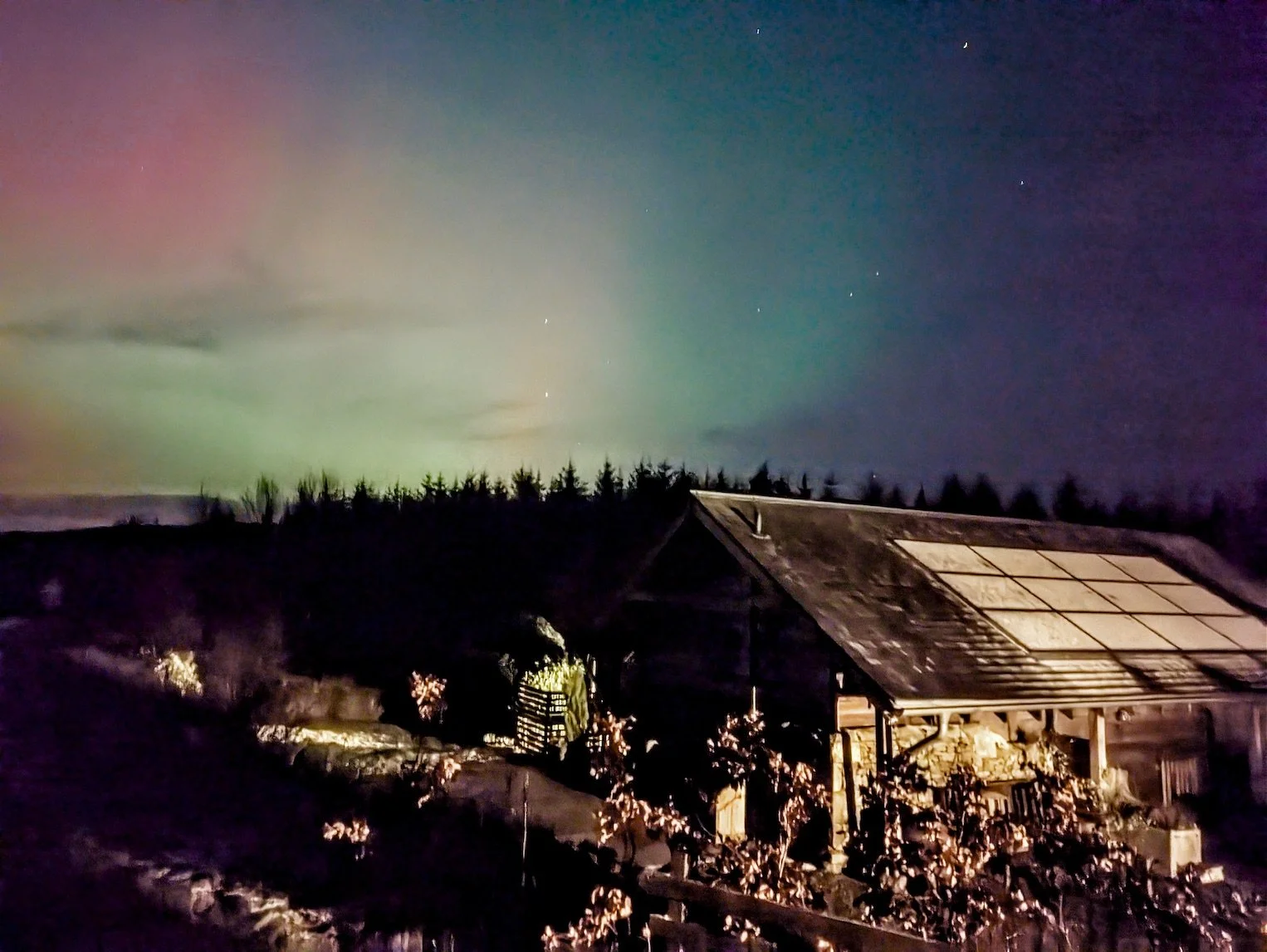 Night sky illuminated with colorful aurora borealis above a house with a sloped roof, surrounded by bushes with lights, and a distant tree line.