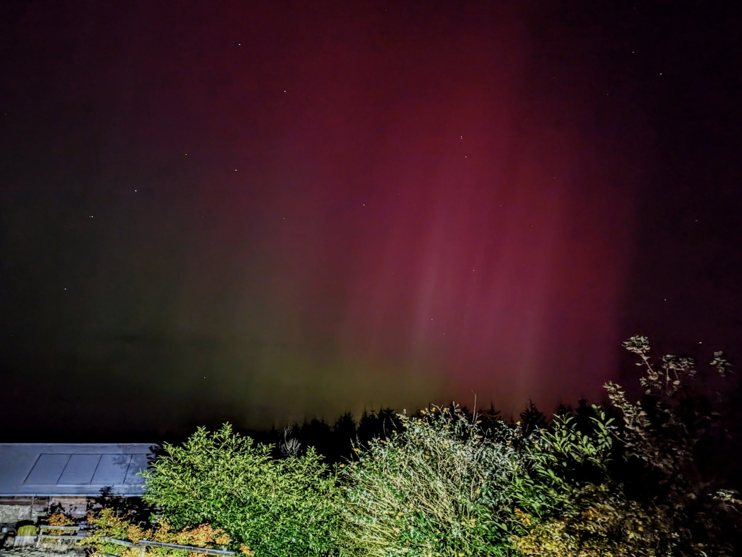 Night sky with the Aurora Borealis displaying pink and green hues over trees and a building with a sloped roof.