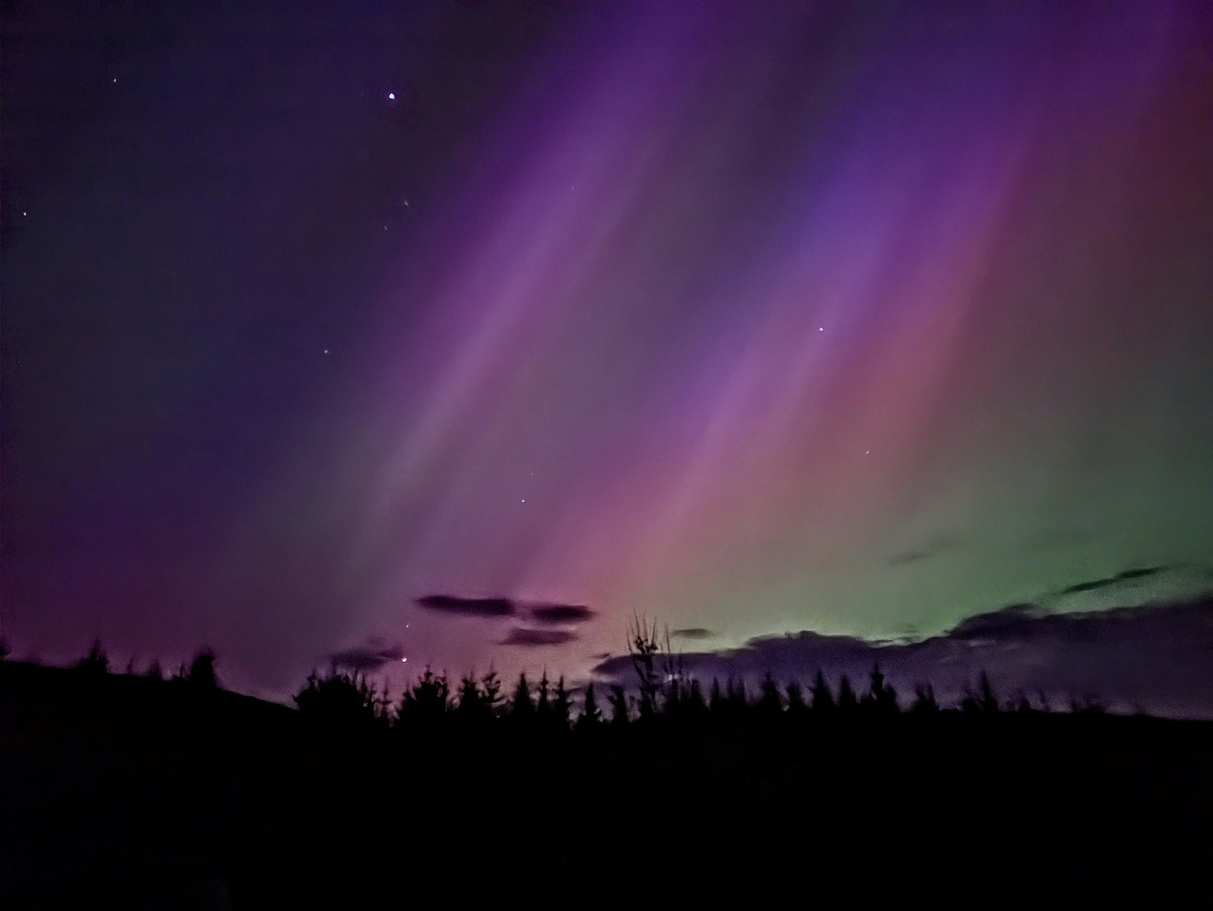 Northern Lights (aurora borealis) in the night sky with purple and green hues, stars, and silhouettes of trees and clouds on the horizon.