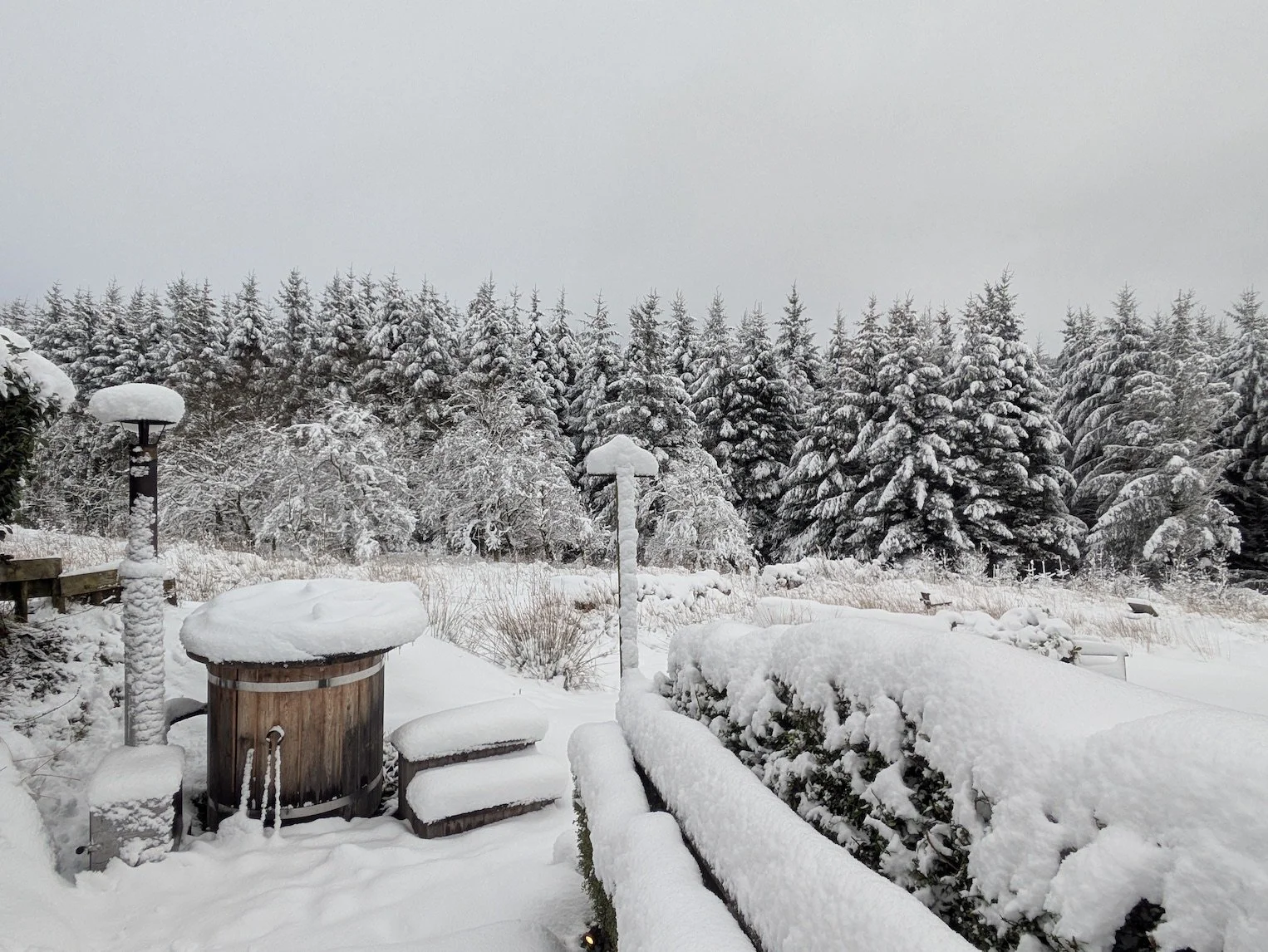 Snow-covered outdoor landscape with trees, benches, and street lamps blanketed in snow.