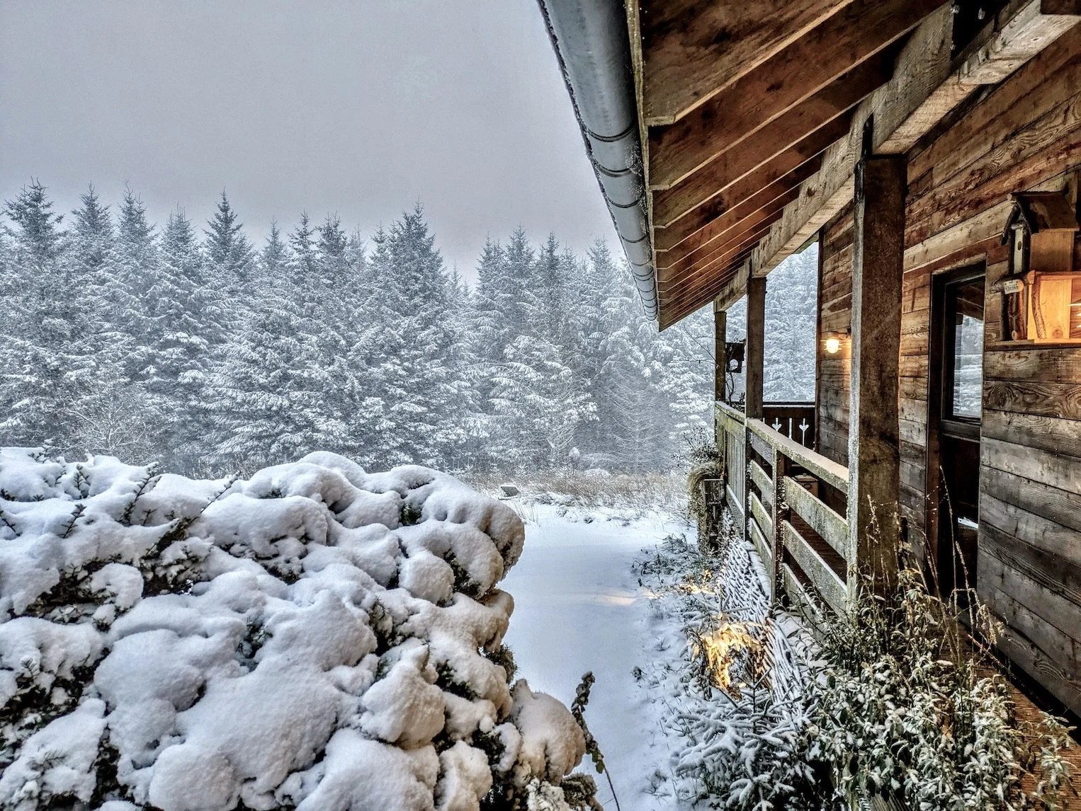 Discover Alpnhaus in winter: a warm ski-lodge-style retreat surrounded by snow, stars, and pure tranquillity.