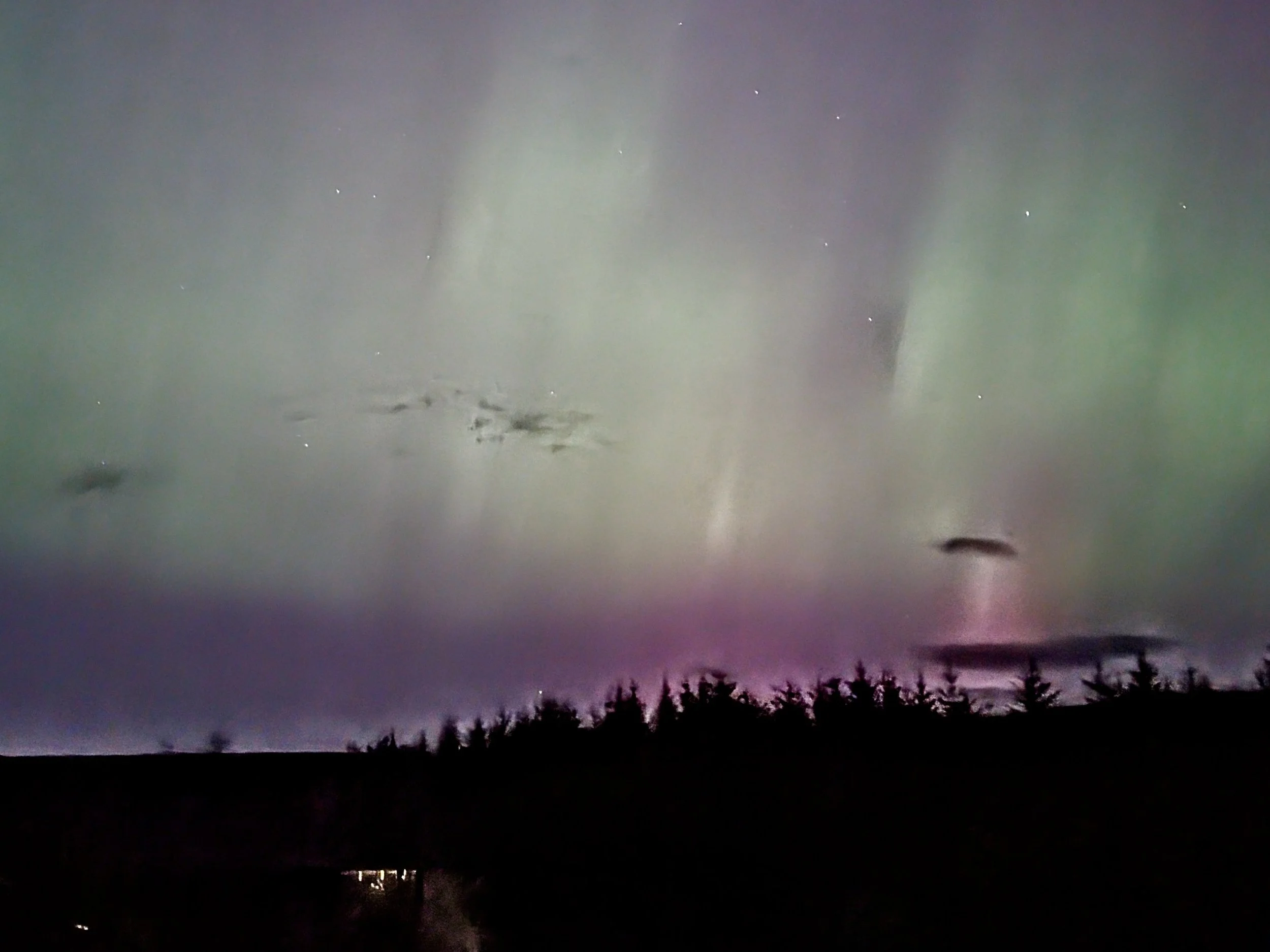Night sky featuring the aurora borealis with shades of green and purple, stars, and silhouettes of trees along the horizon.