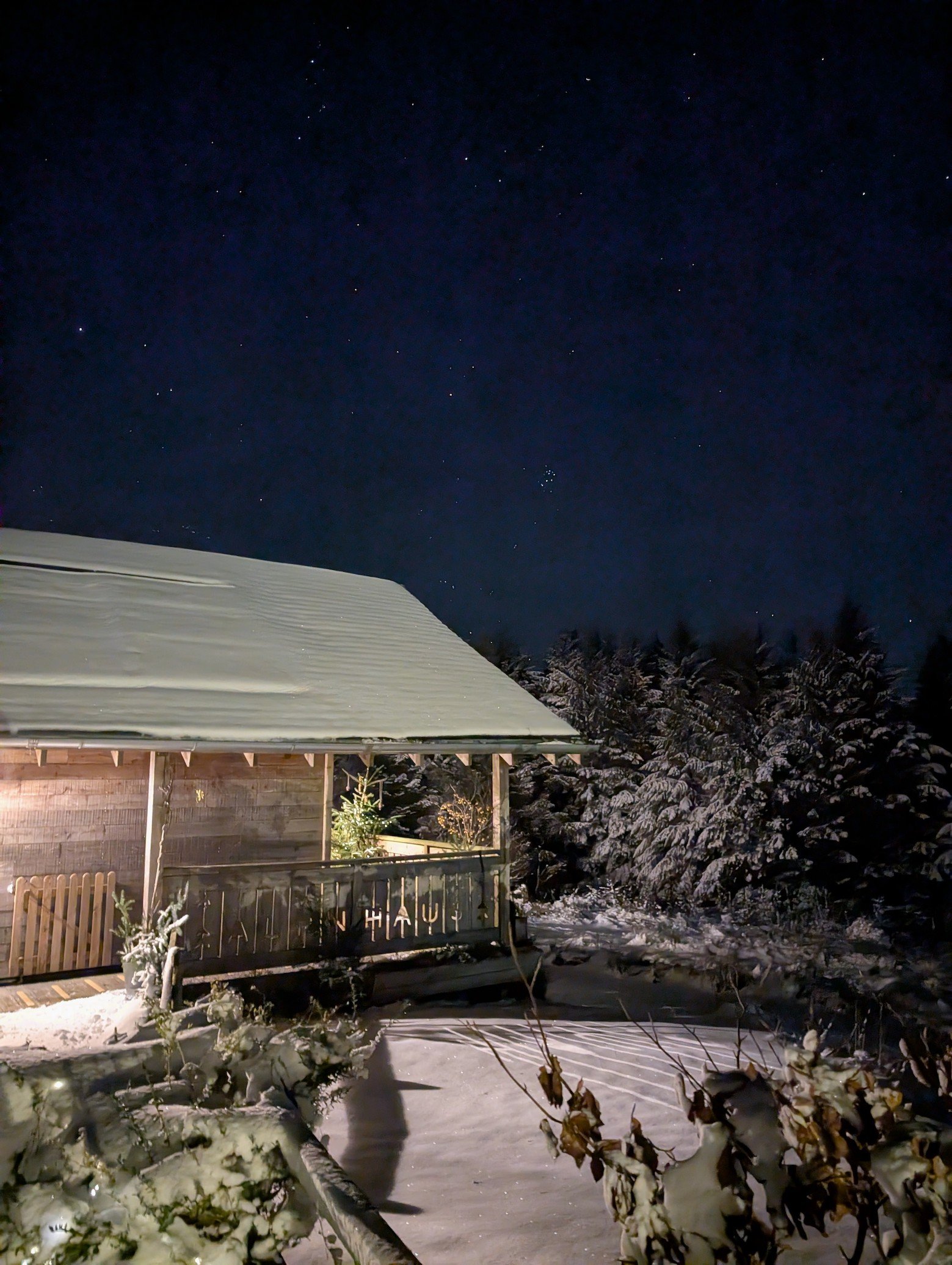nightsnow copy.jpeg