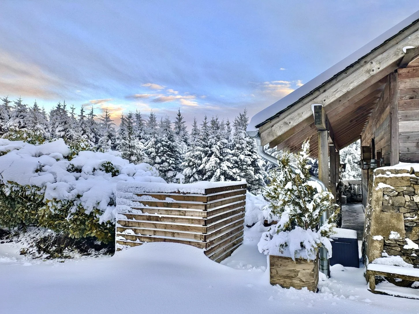 Snow-covered wooden house with potted plants, surrounded by snow-covered bushes and trees under a partly cloudy sky.