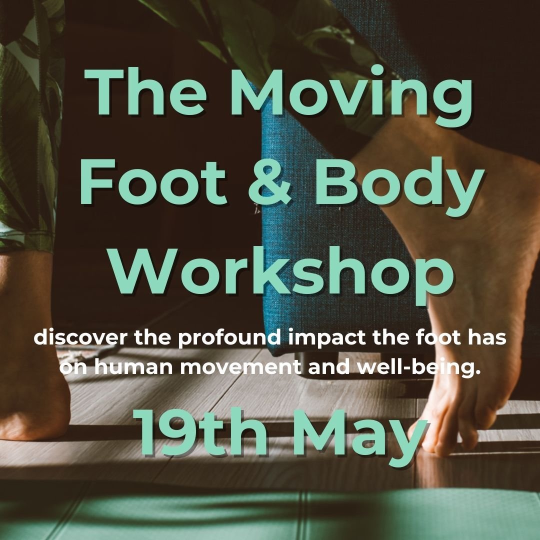 The human foot, a marvel of biomechanics, holds the key to unlocking transformative possibilities for you and your clients.

With The Moving Foot and Body Workshop discover the profound impact the foot has on human movement and well-being.
The Moving