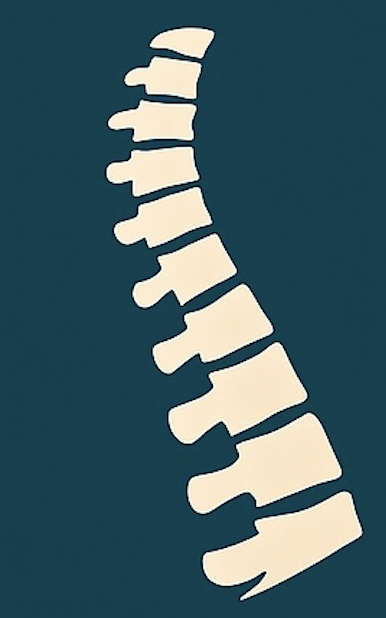 NEUTRAL SPINE: YOUR SECRET WEAPON AGAINST BACK PAIN (CANBERRA EDITION)