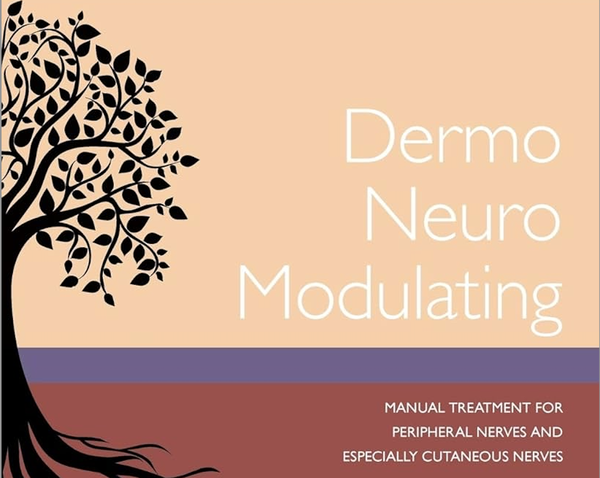 What Is Dermo-Neuro Modulating?